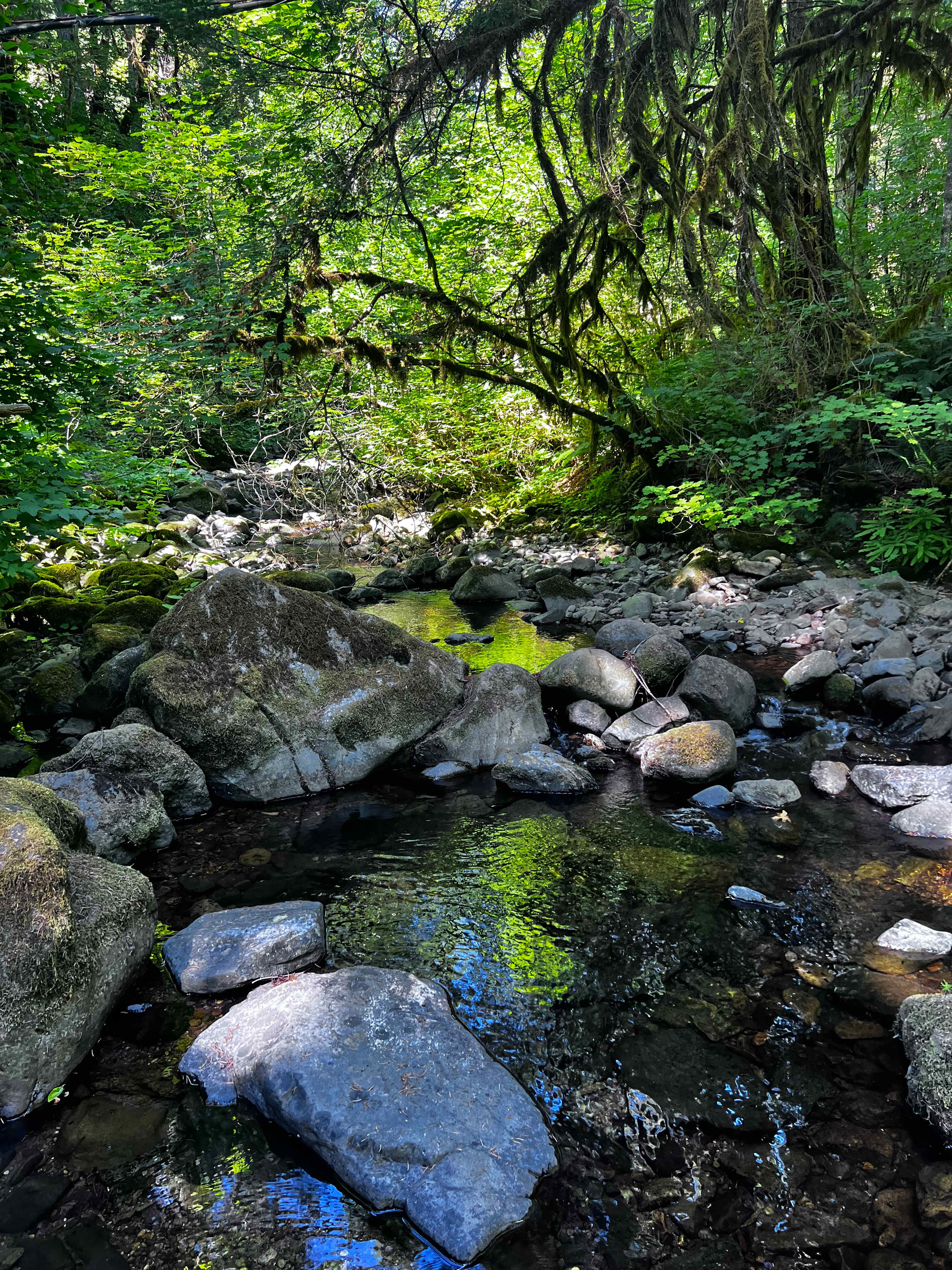 Umpqua's Last Resort