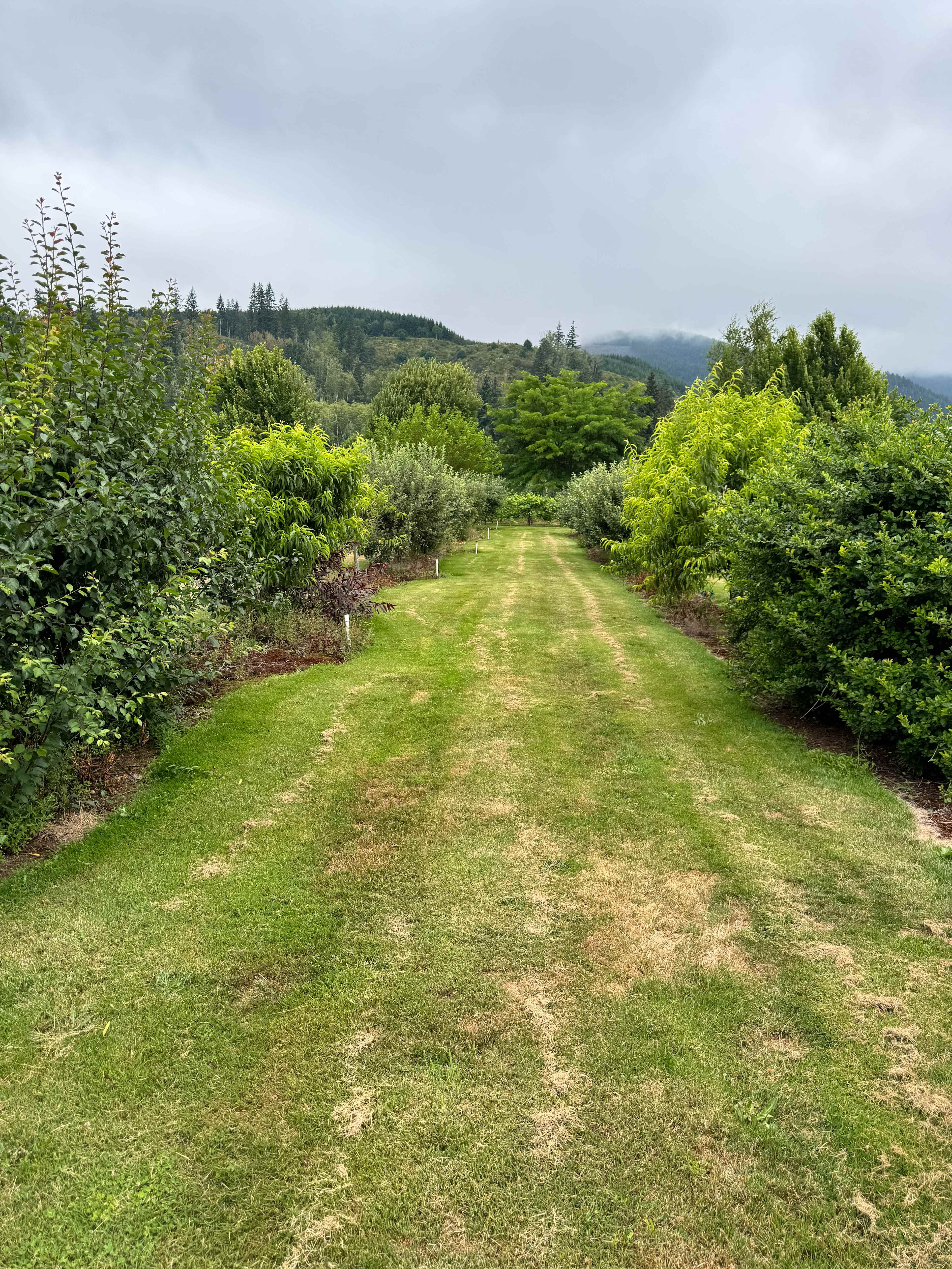 The Arboretum at Bear Canyon West