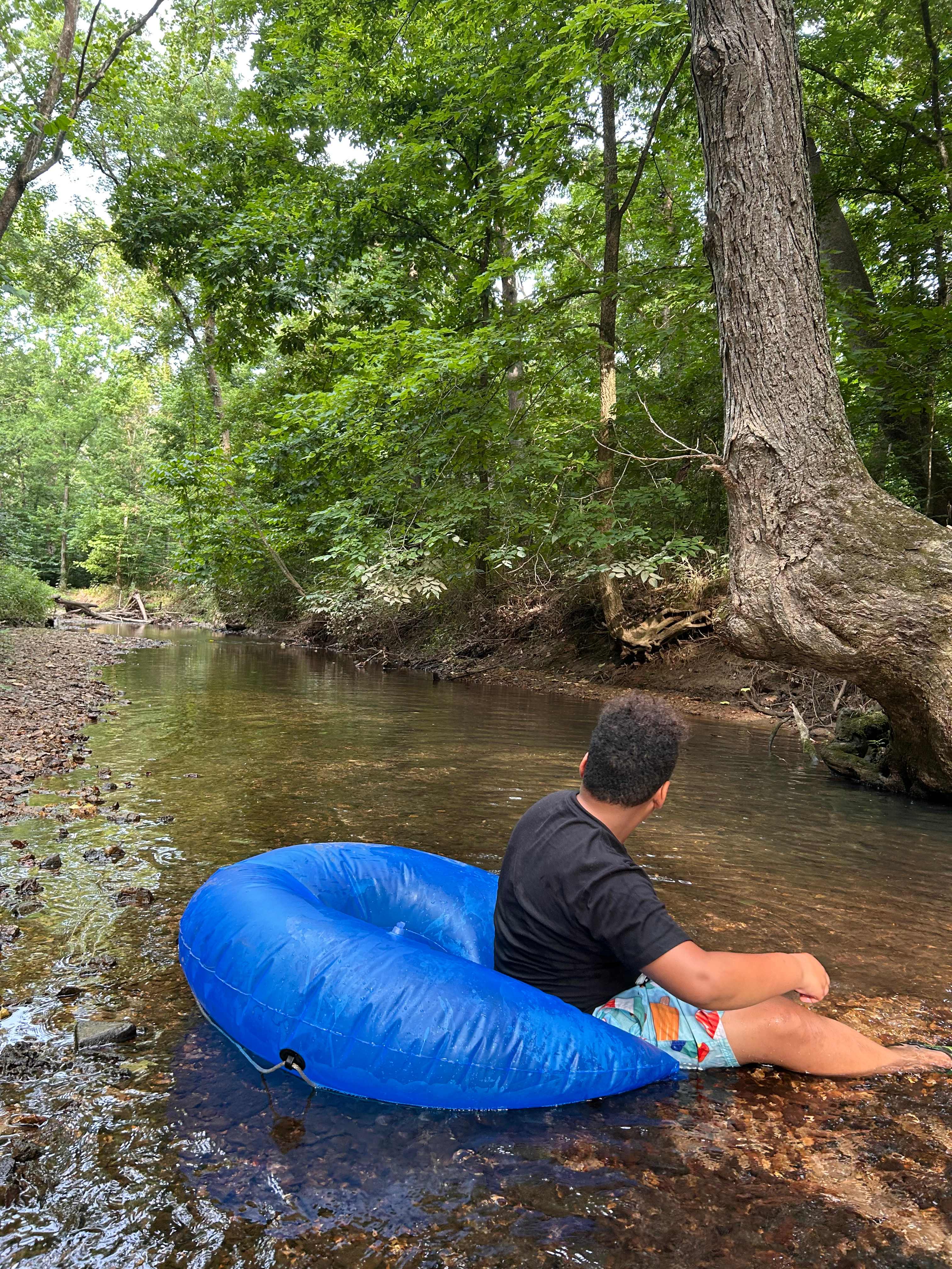 Hummingbird Hollow Outdoors