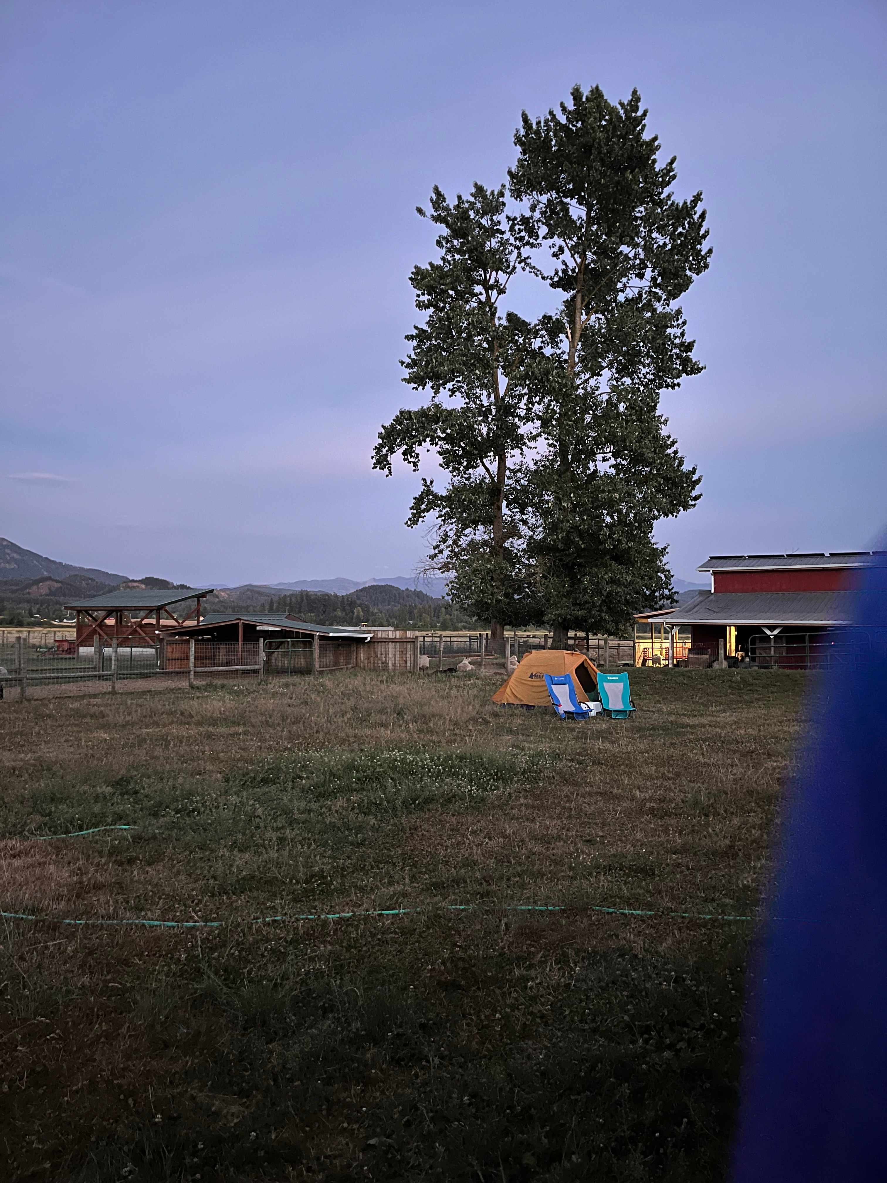 Blue Mist Farm