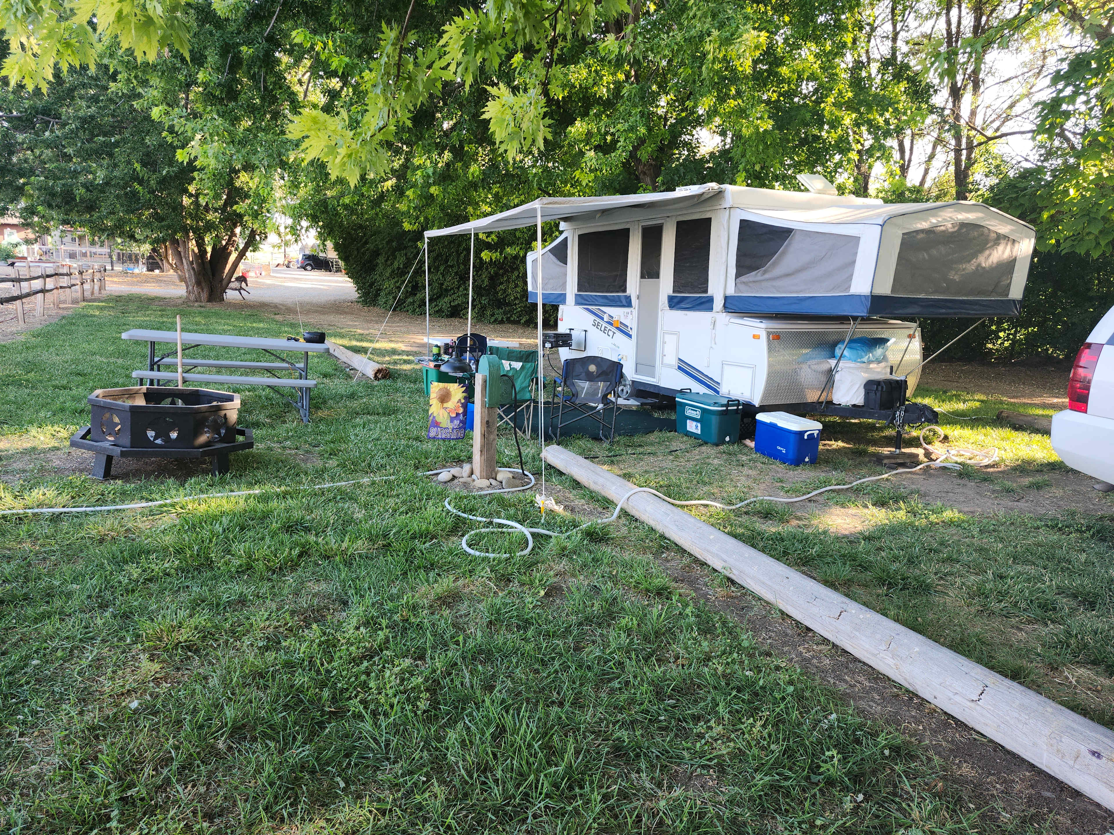 Our site at Mini Acres Farm