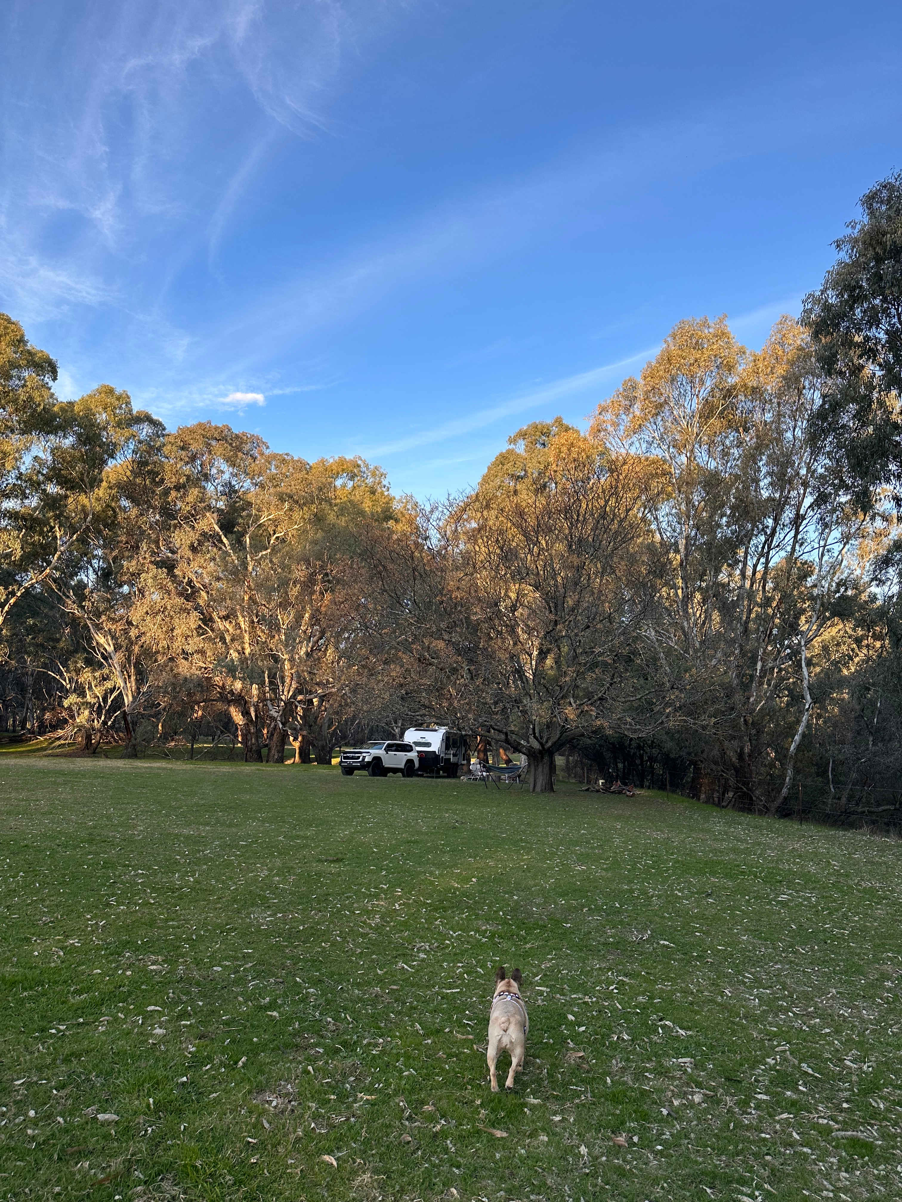 Billabong Flats Farm