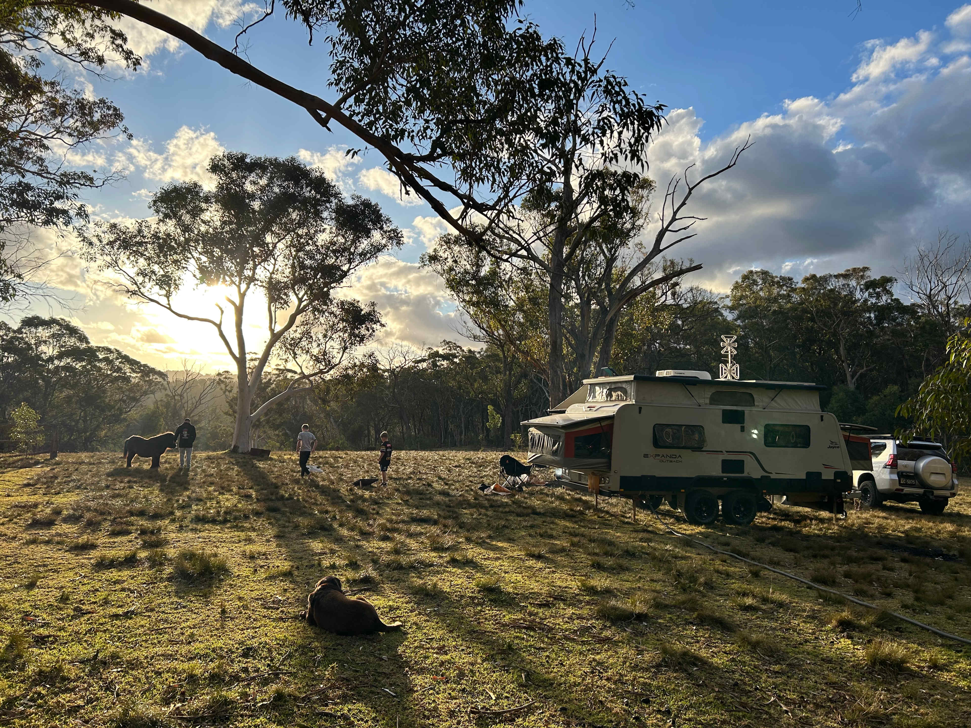 Megalong Valley Farm
