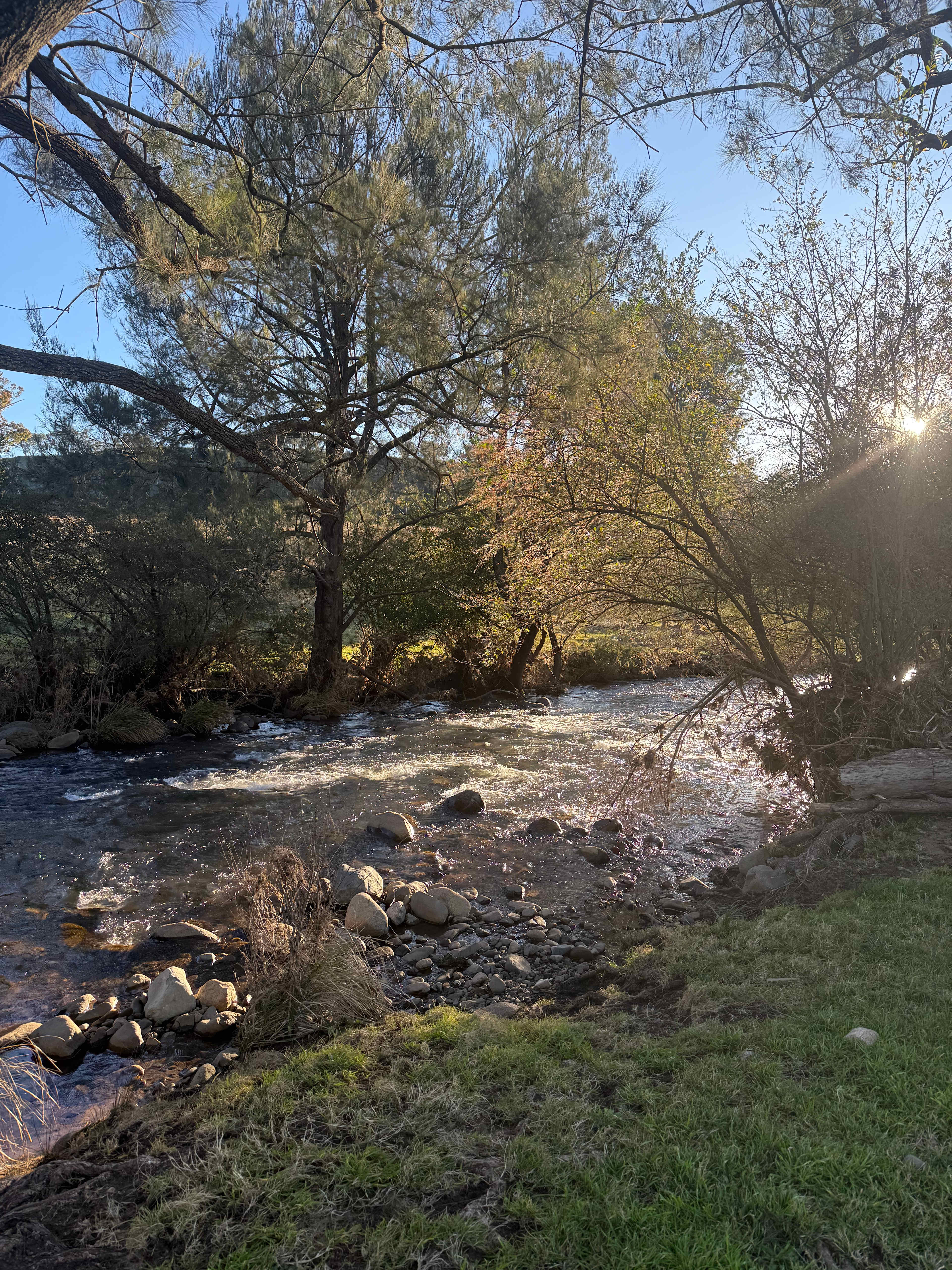 The beautiful Omadale Brook, right at your site. 