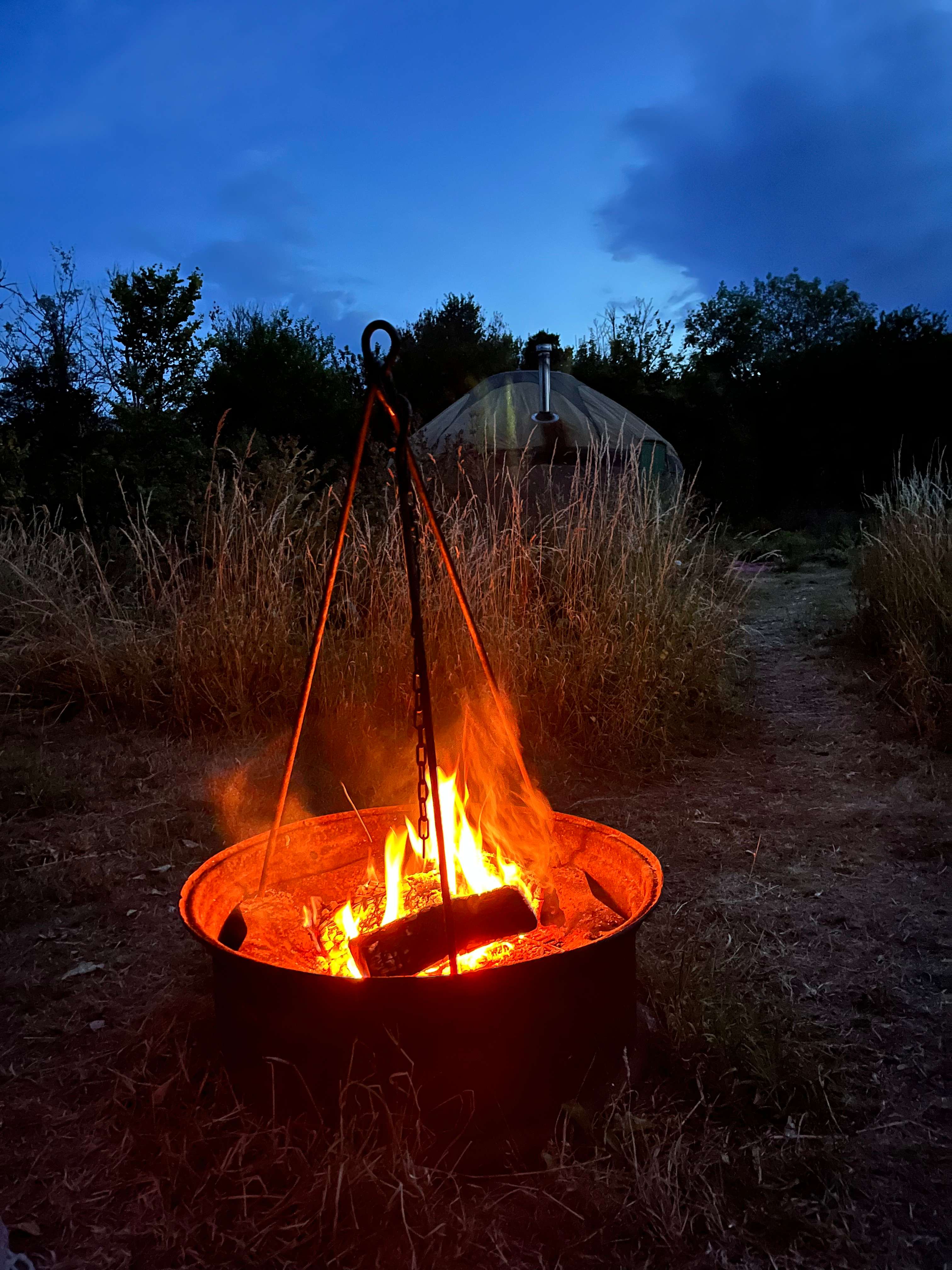 Off Grid Yurt Ashmead Meadow