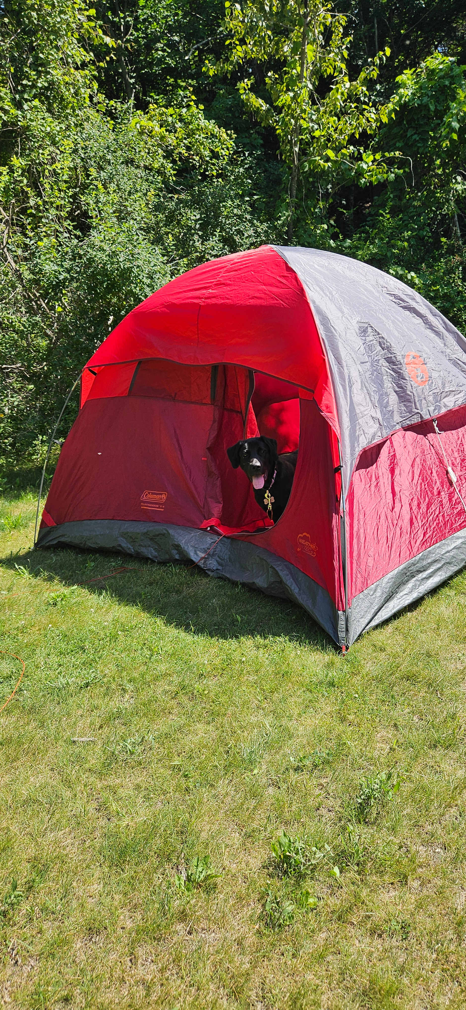 Million $ Sunset Camp