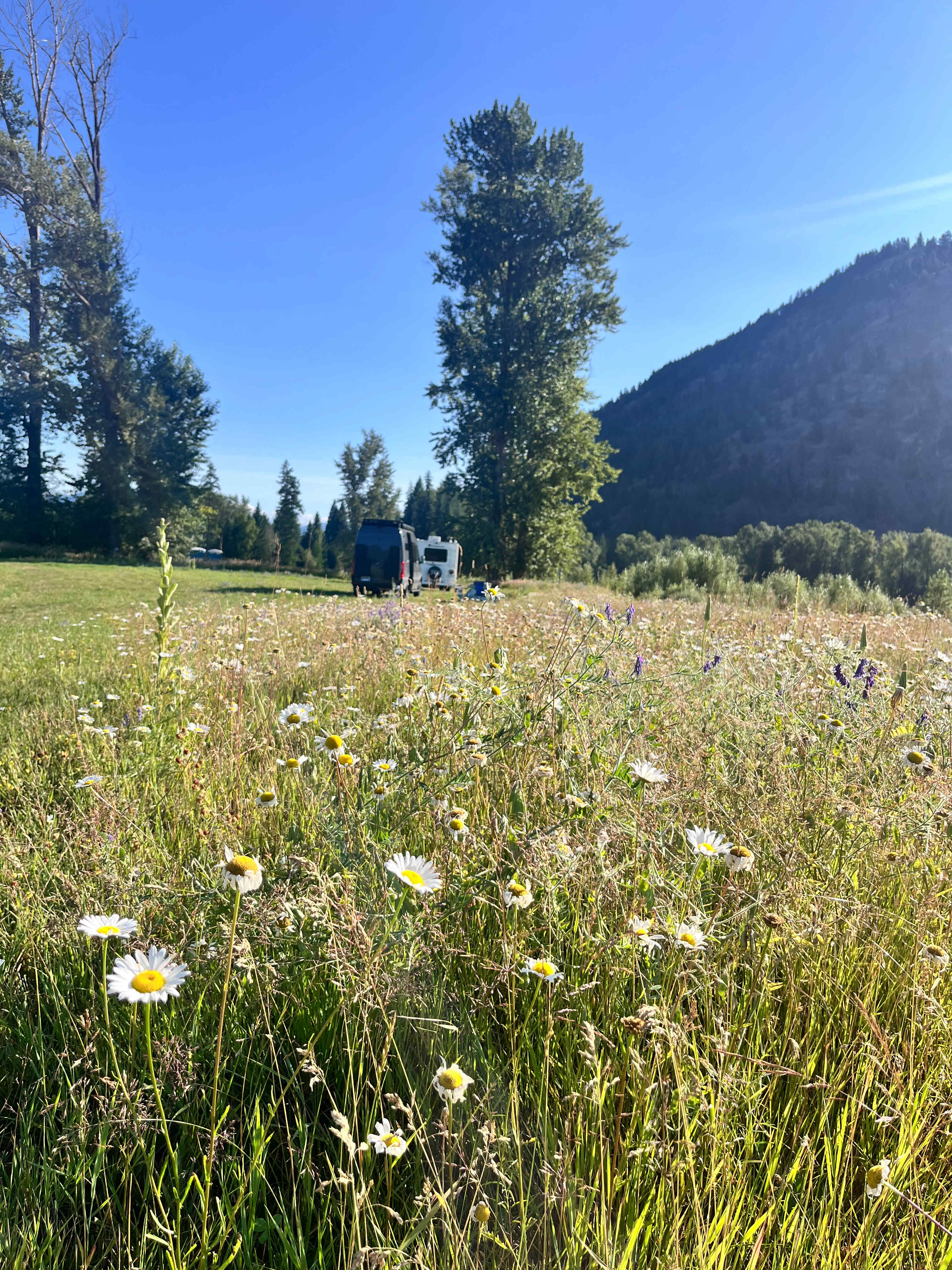 Big Sky Camping