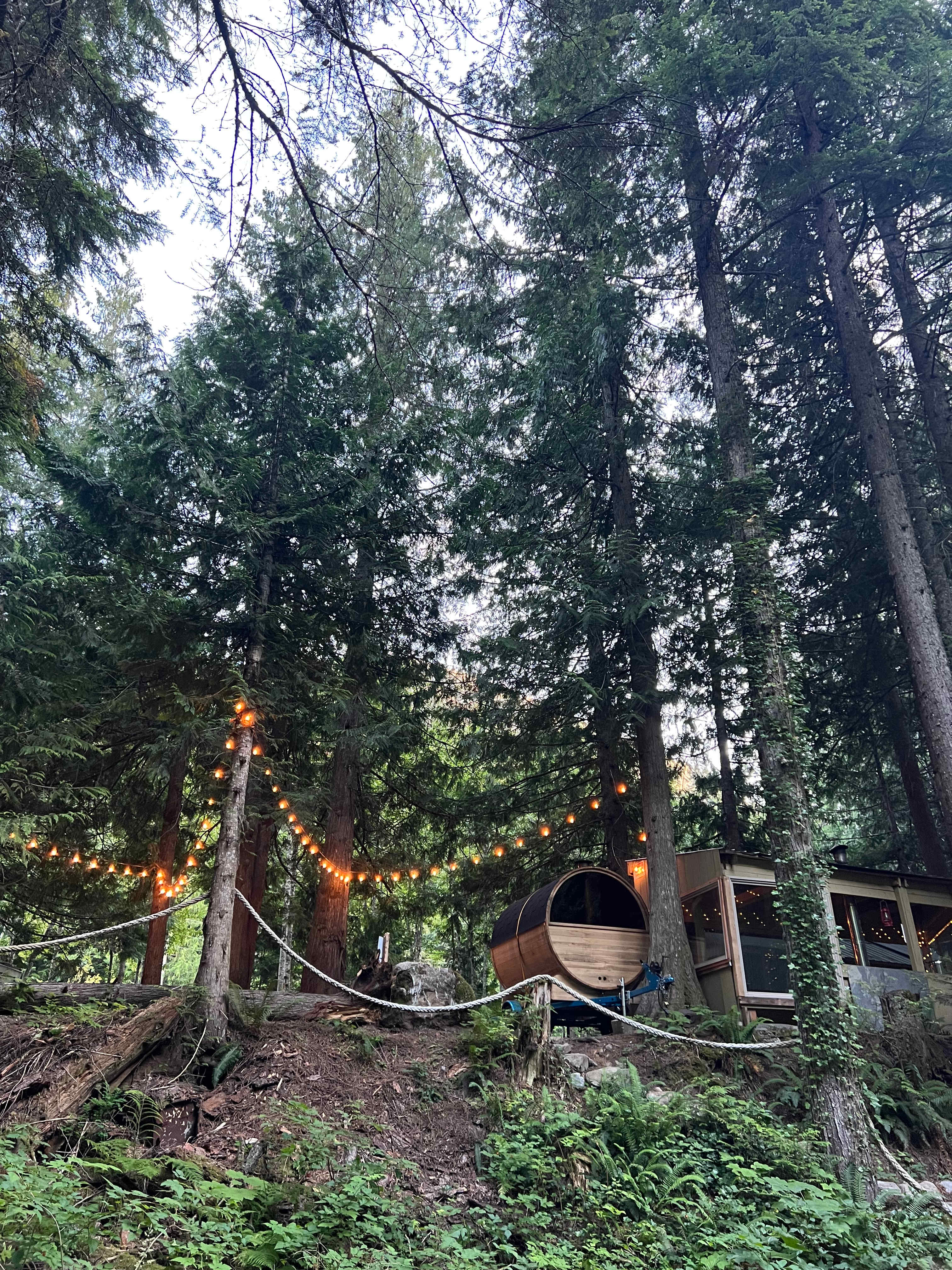 Ascent Basecamp