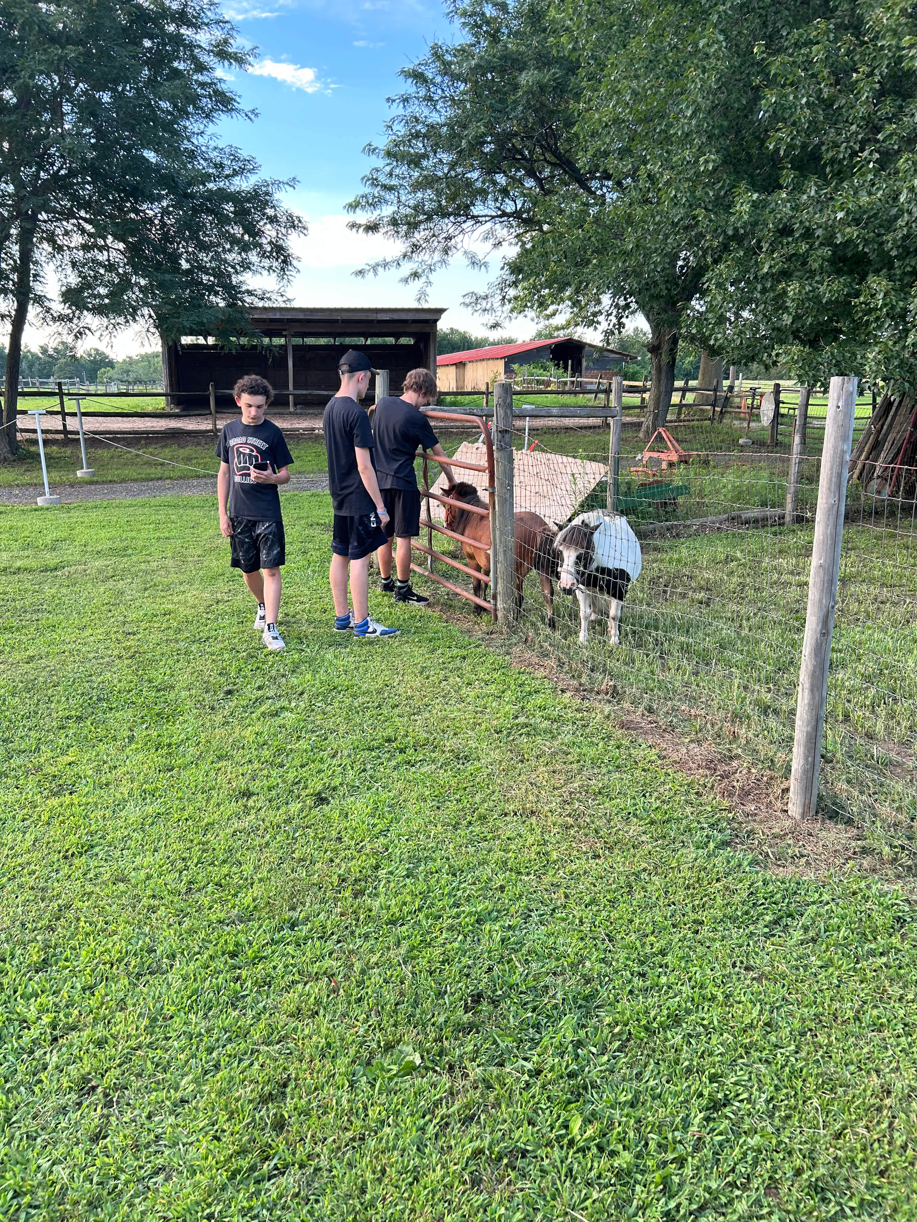 Countryside Horse Farm