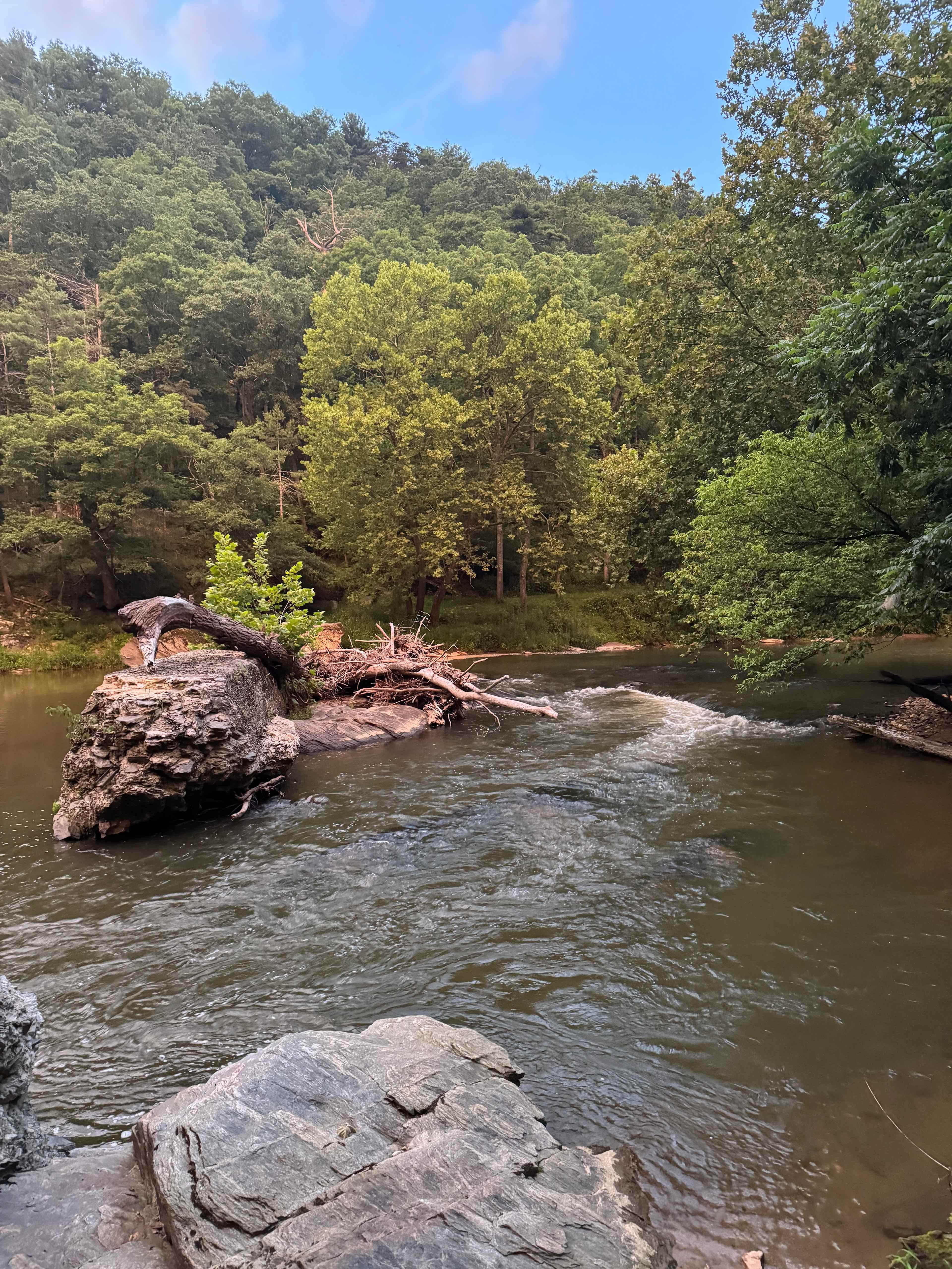 The River's Edge