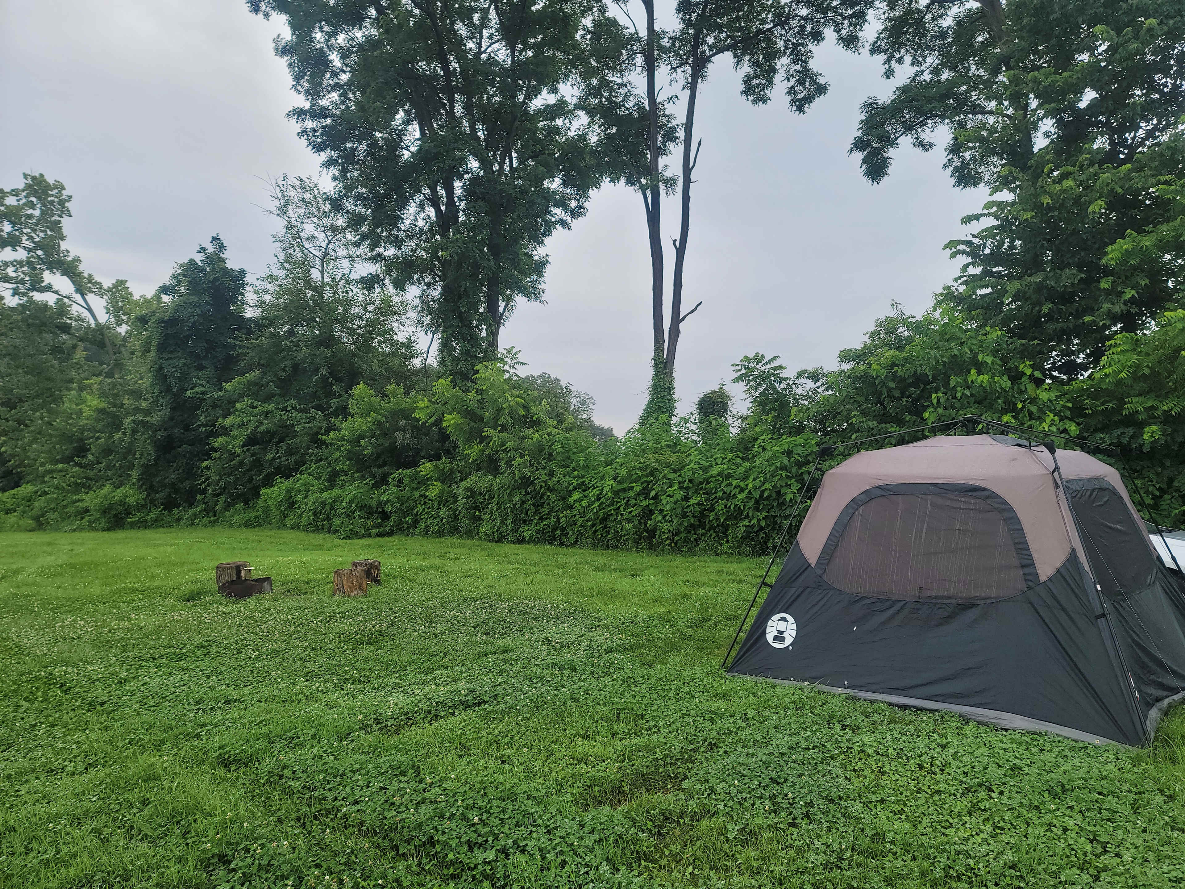 Christmas Tree Farm with Views