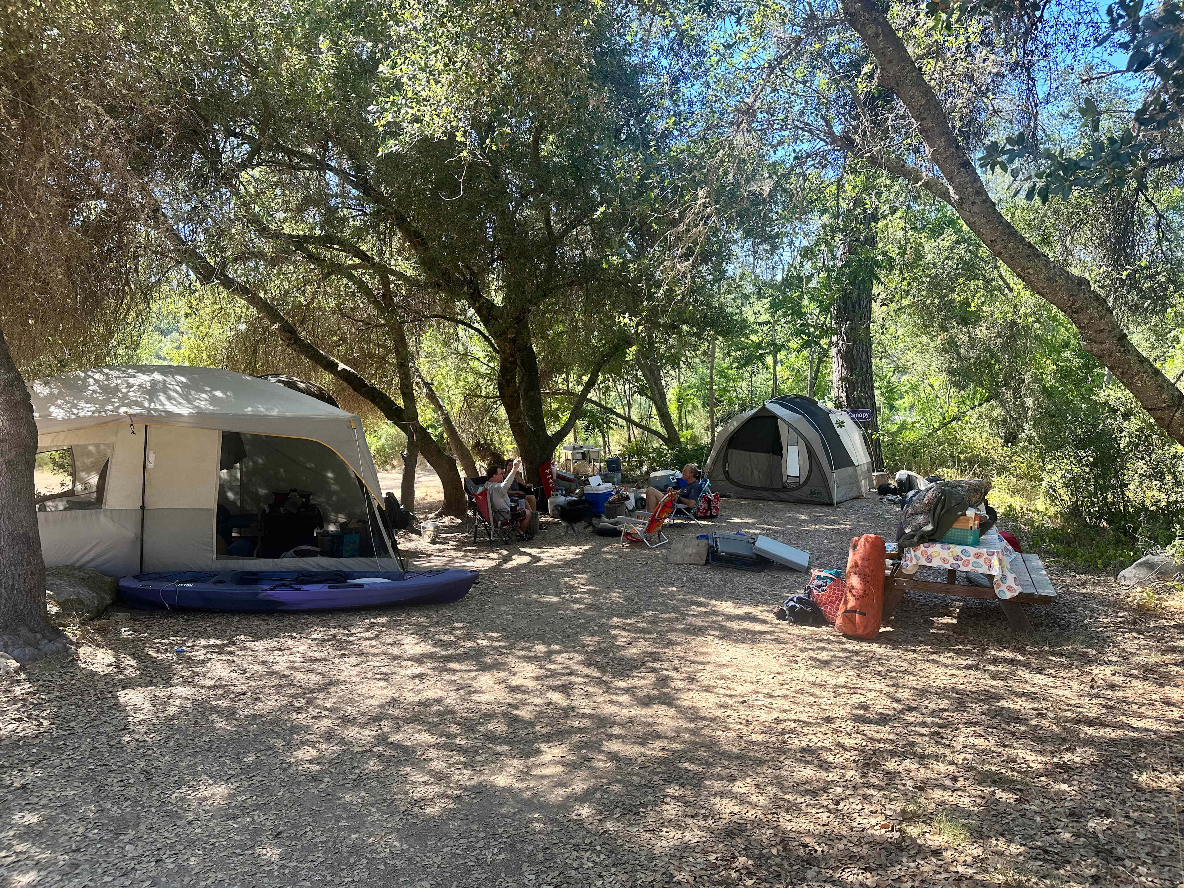 Large, shady site