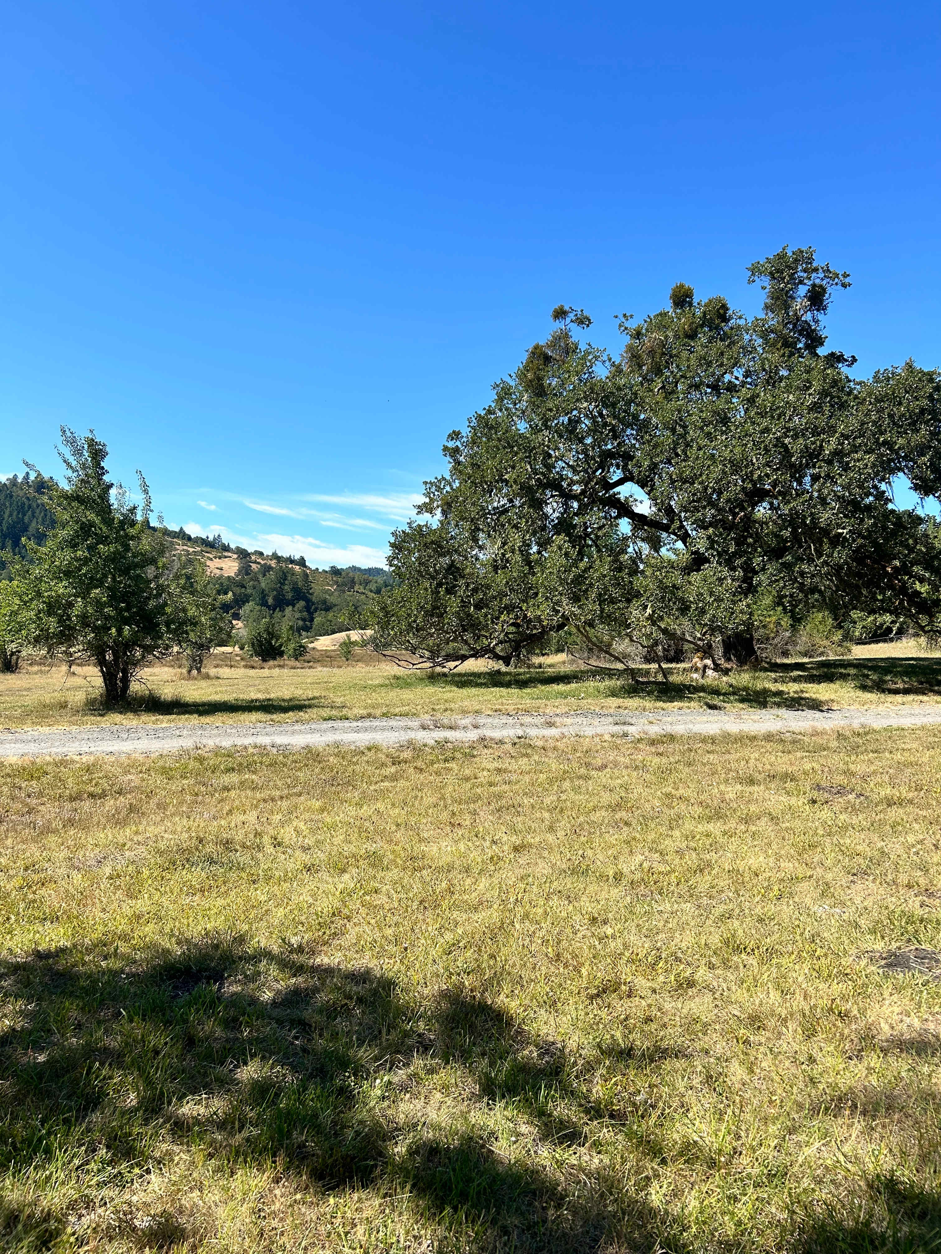 River Ranch Campground
