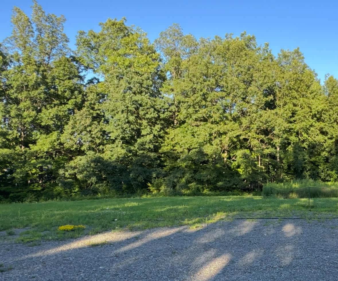 Site adjoins large gravel area. Most critical: Do NOT drive in roped off areas! (septic system and soft areas there).  You are welcome to walk thru the woods and down to the stream with small waterfall. 