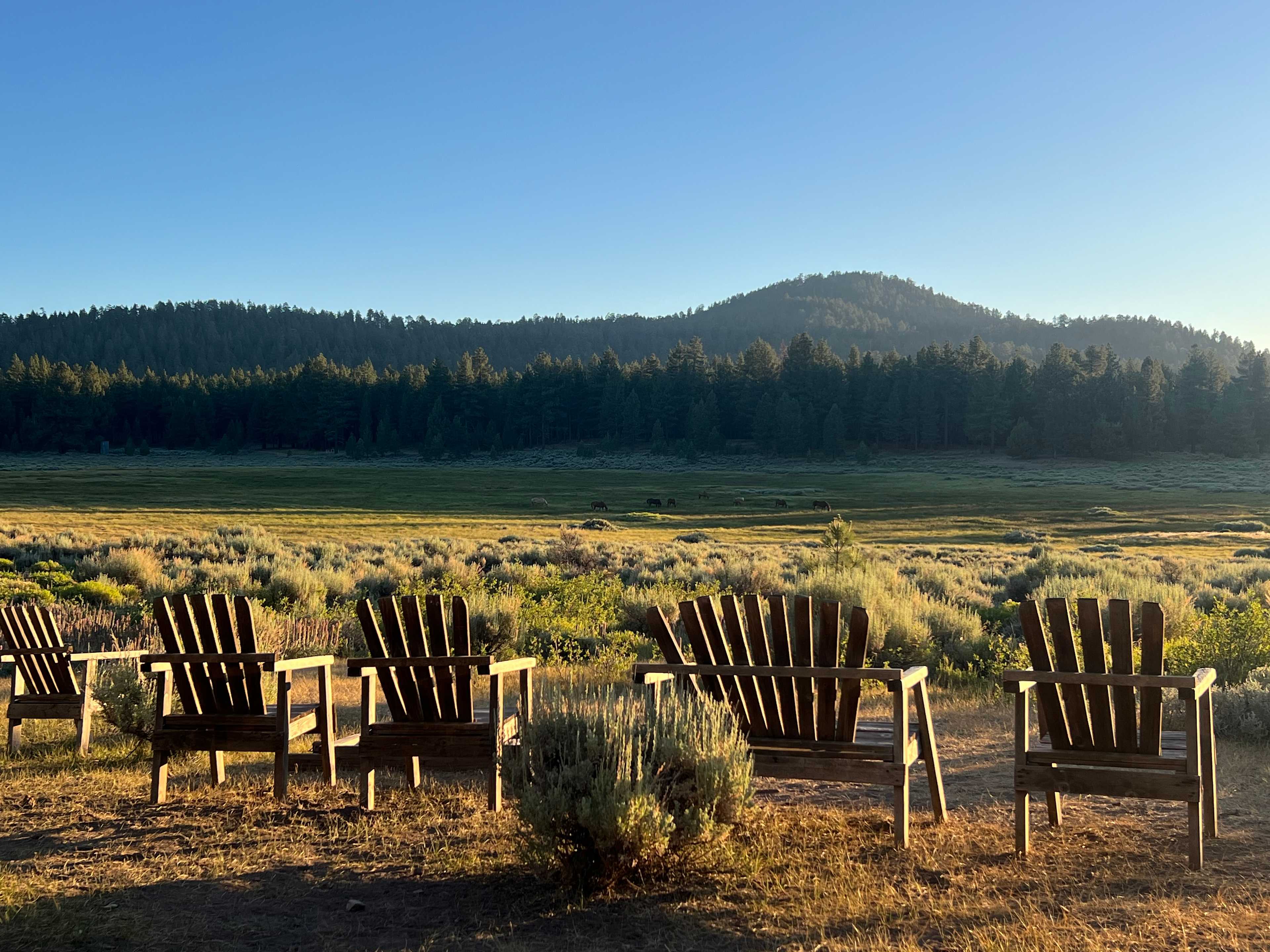 Holcomb Valley Ranch