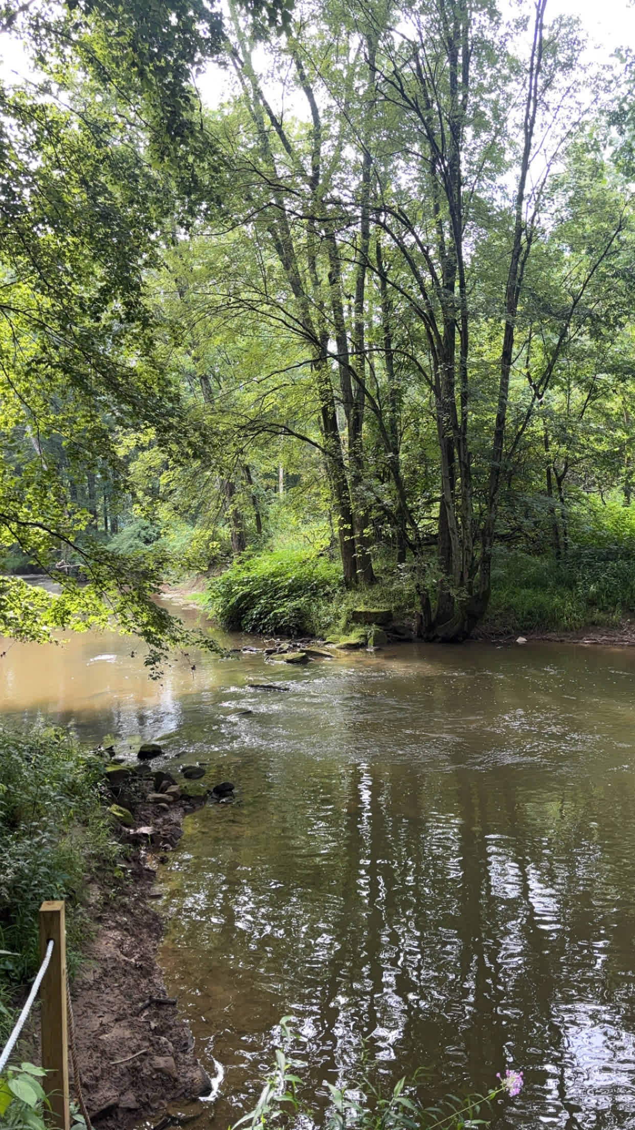 Bluebird Hollow