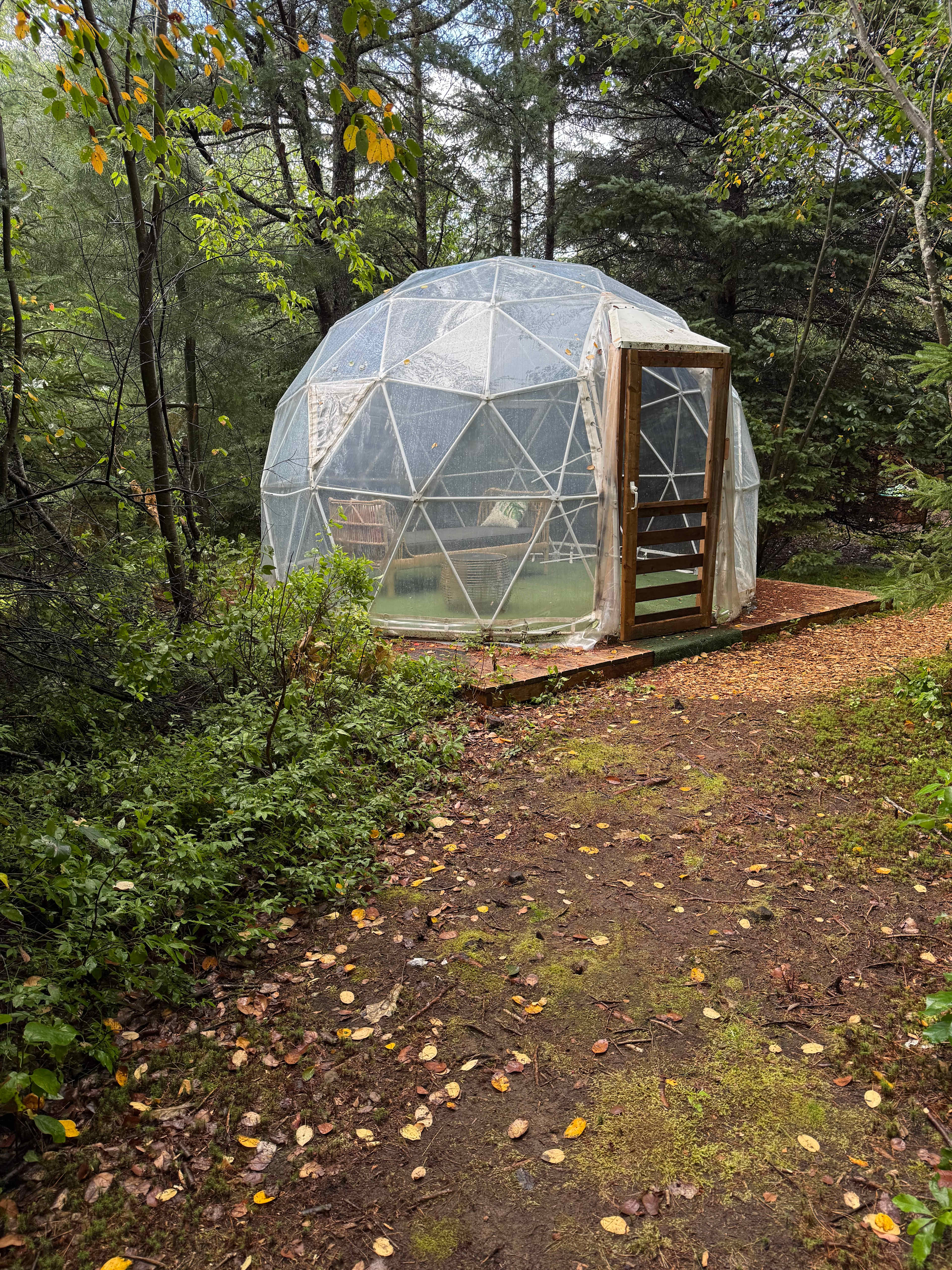 Creekside RnR Glamping