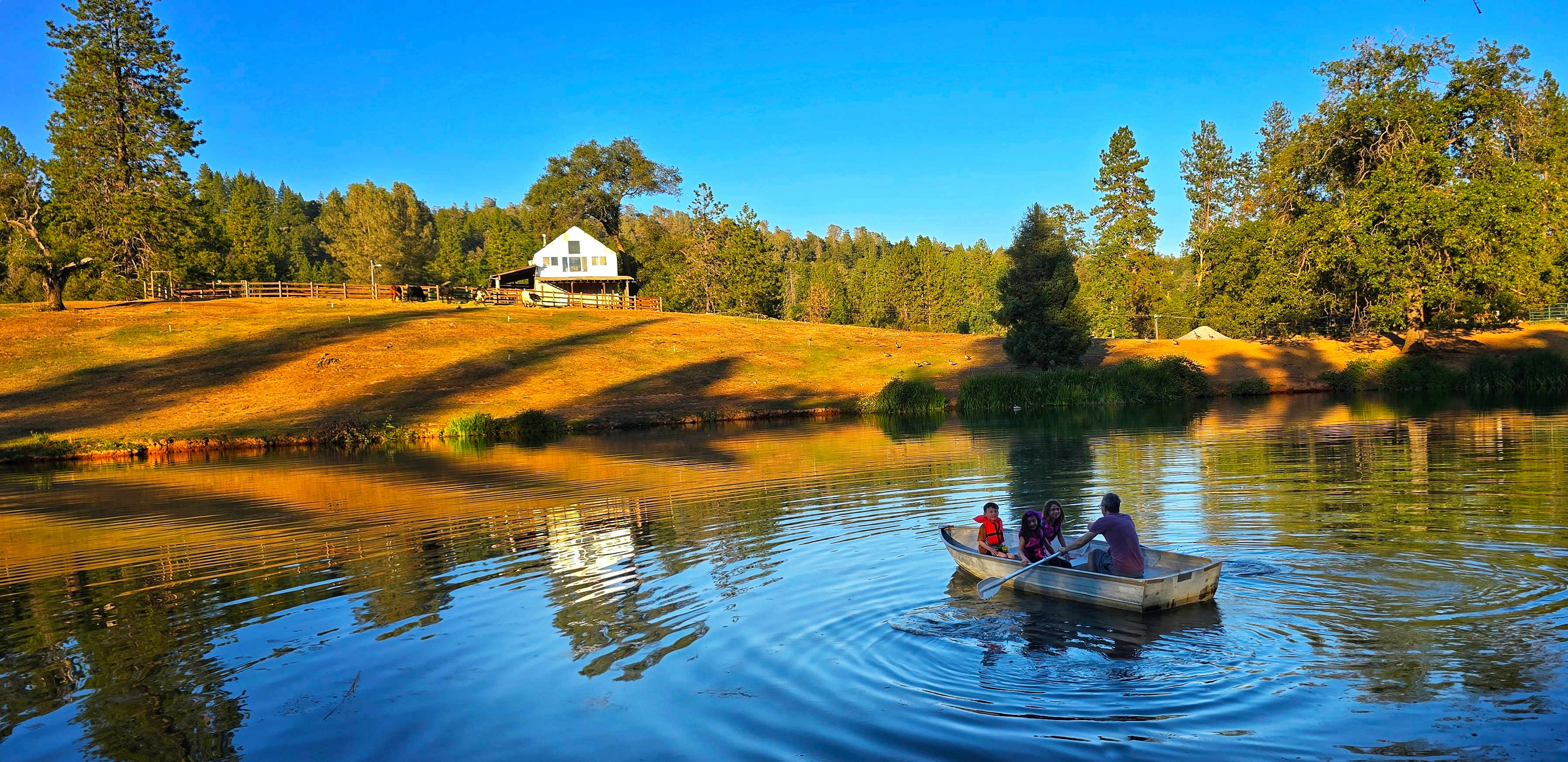 Exploring the water on the rowboat boat.