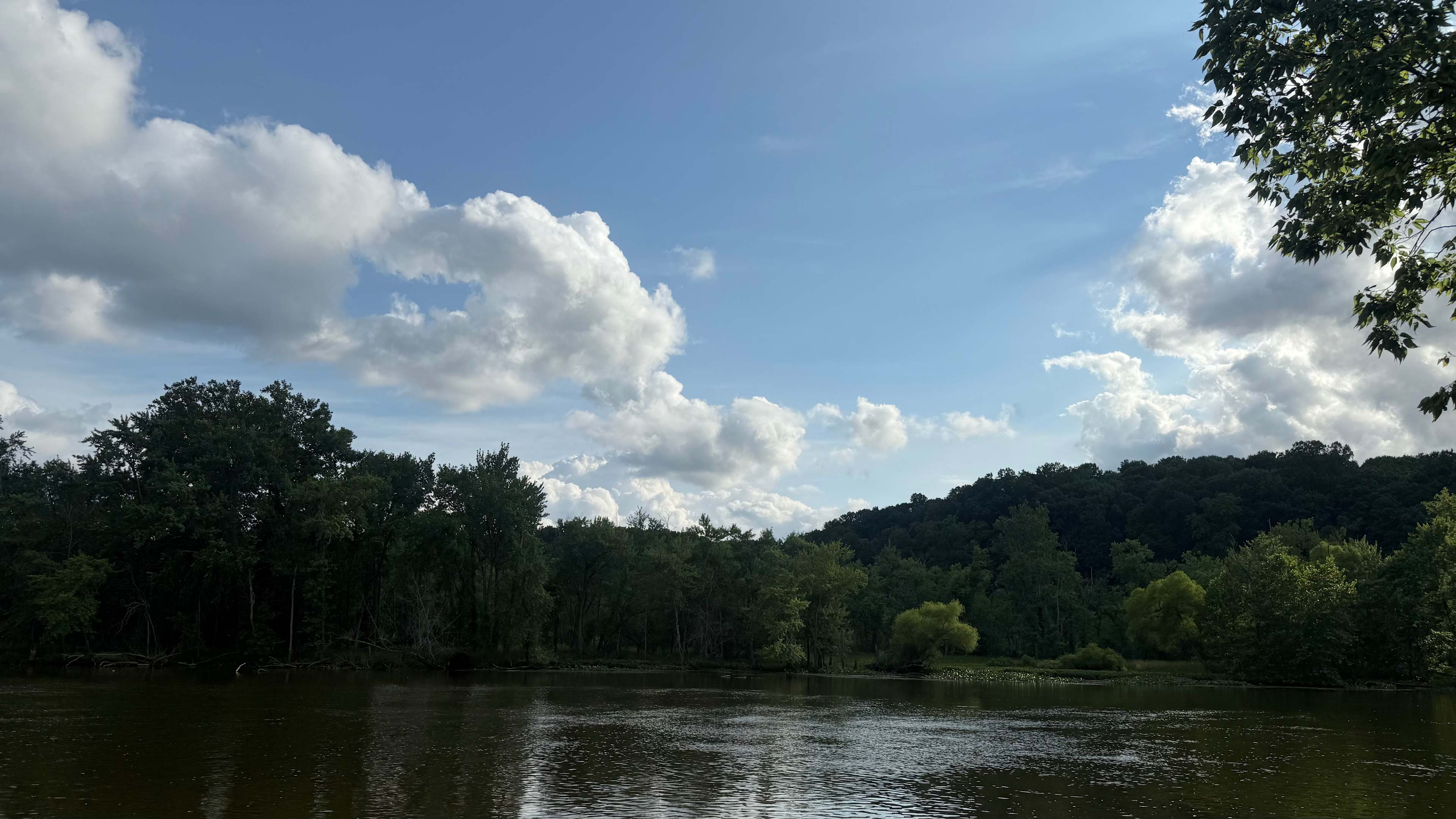 The Haven