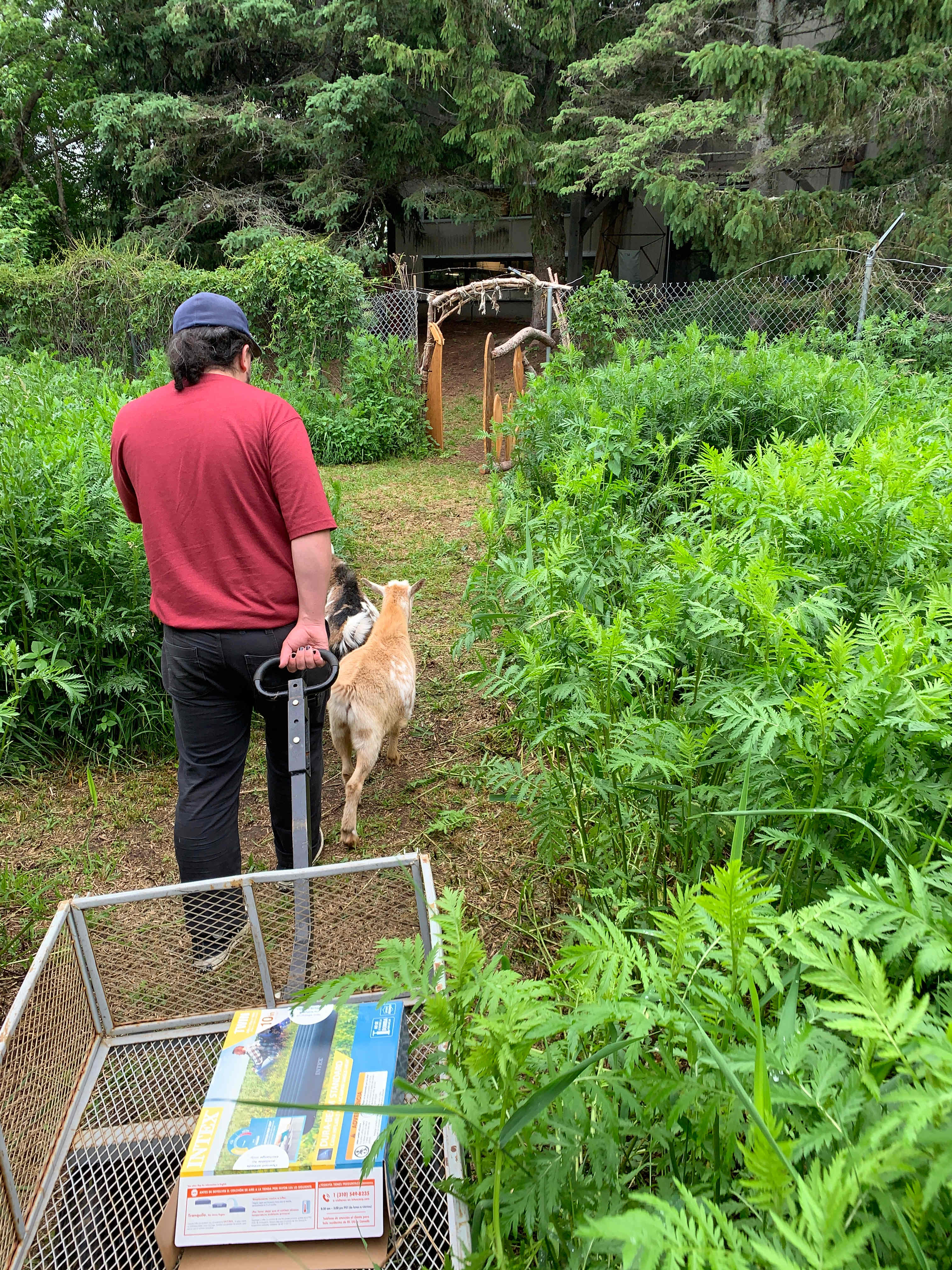 Path to gate from tent site