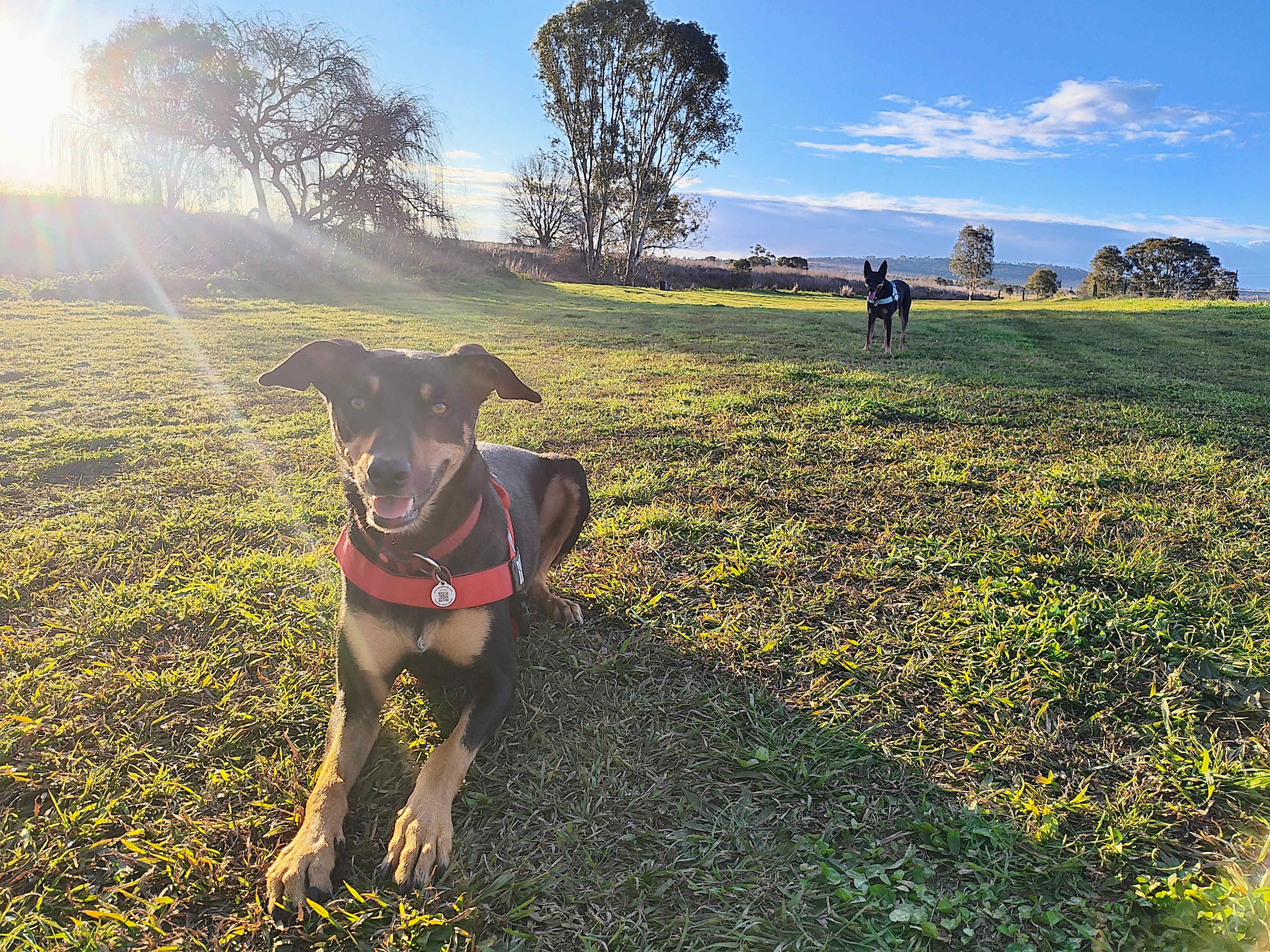 Warrego Farm