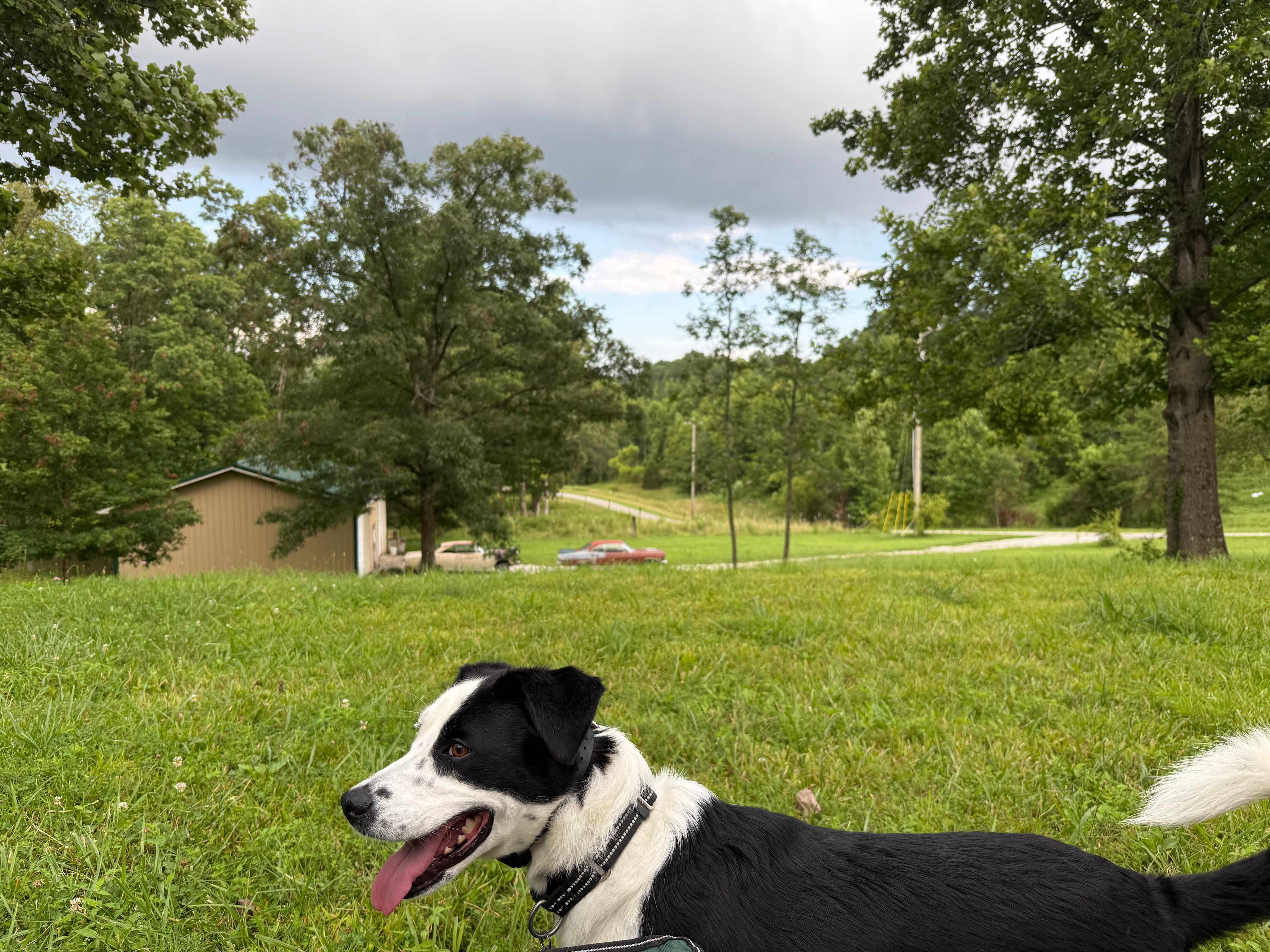 View from the RV site (180 degrees there's a hill behind the site with a house)