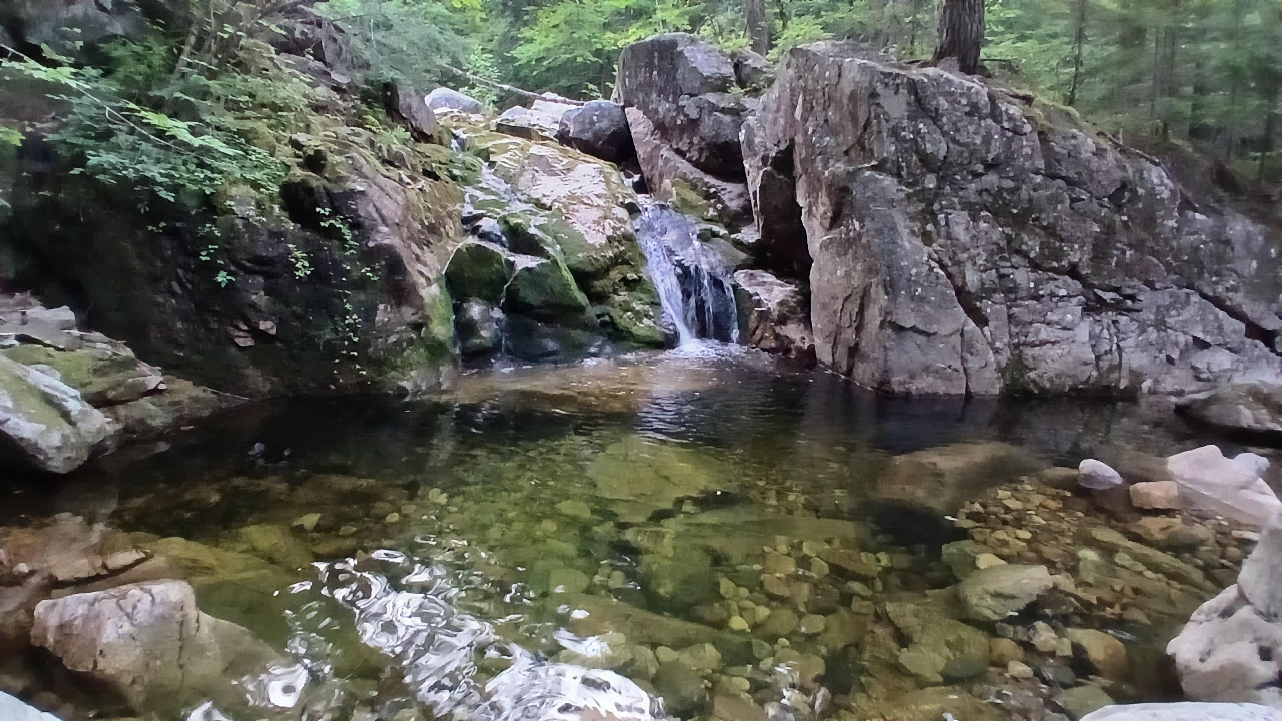 Toad Hill