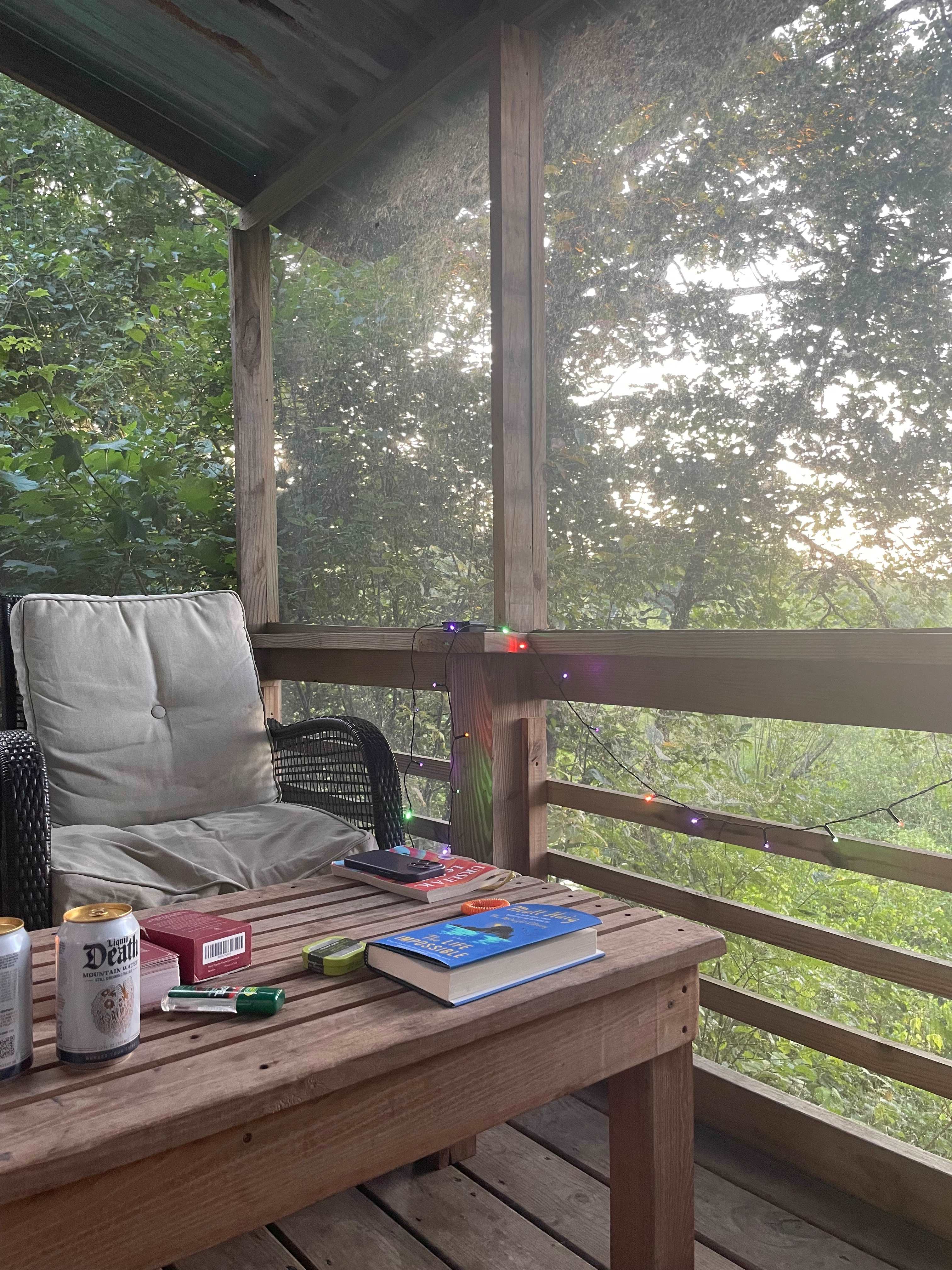 Beaver Point Cabin
