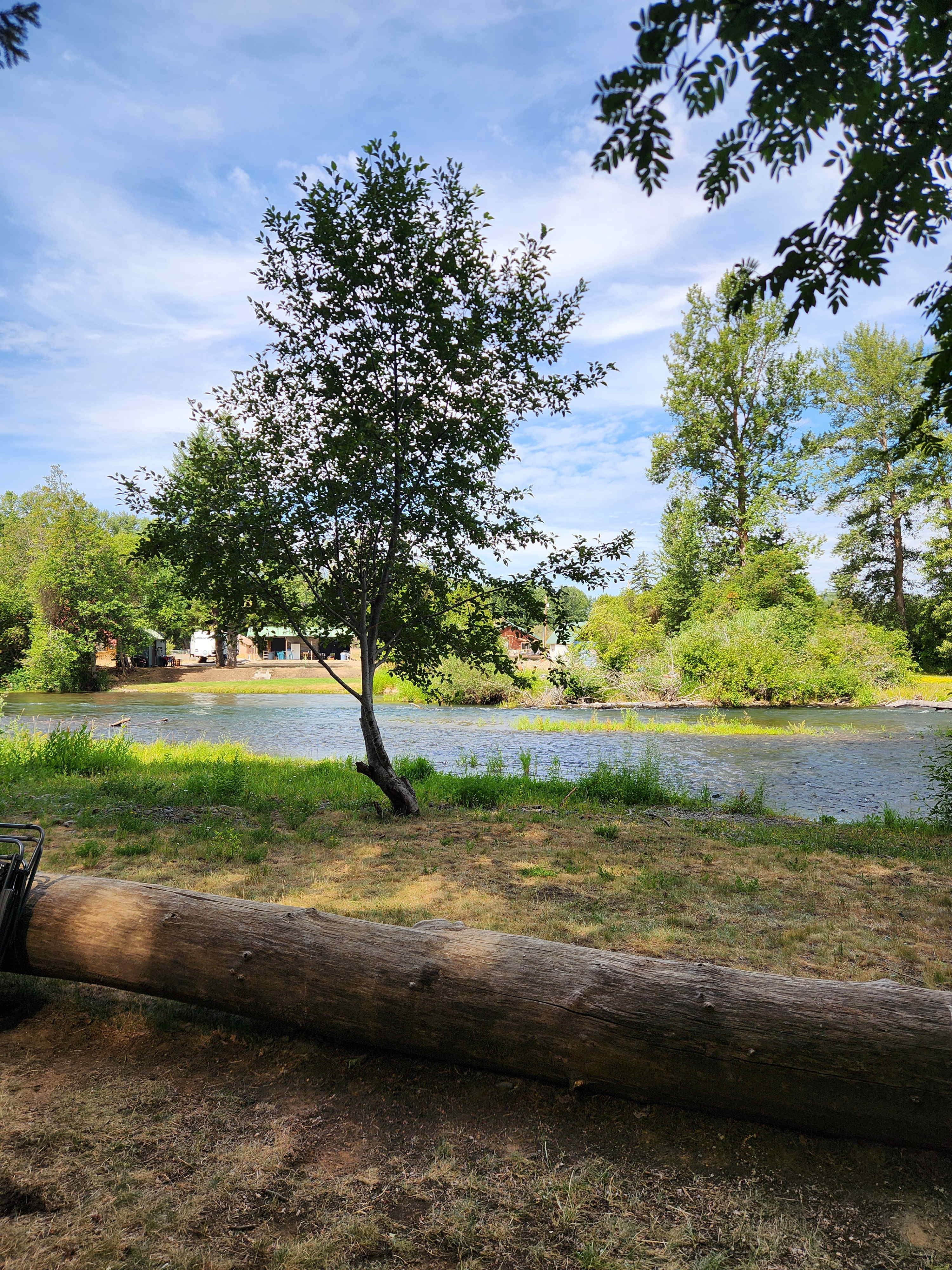 Heron's Rookery at Yakima River