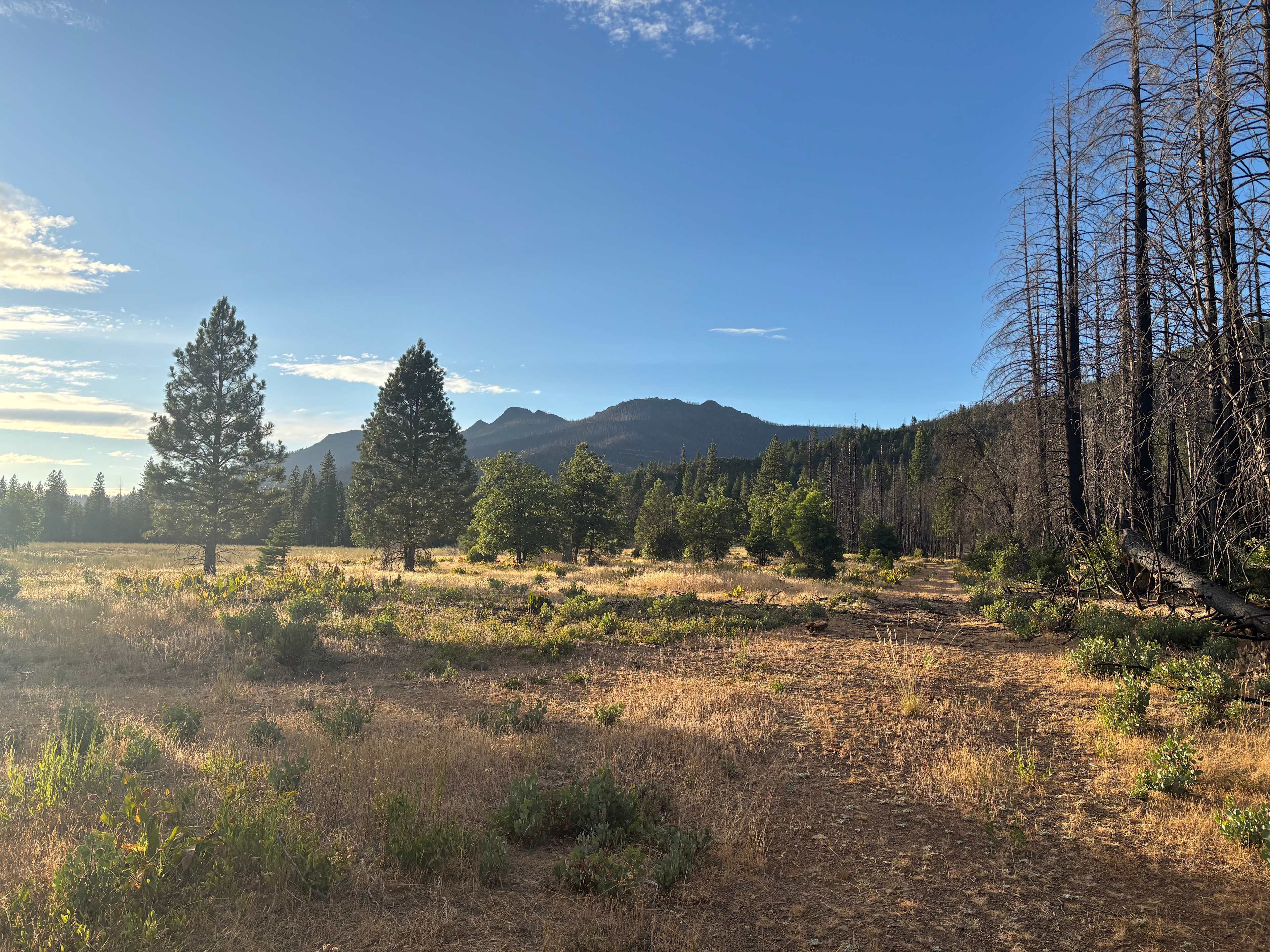 Coppercreek Camp