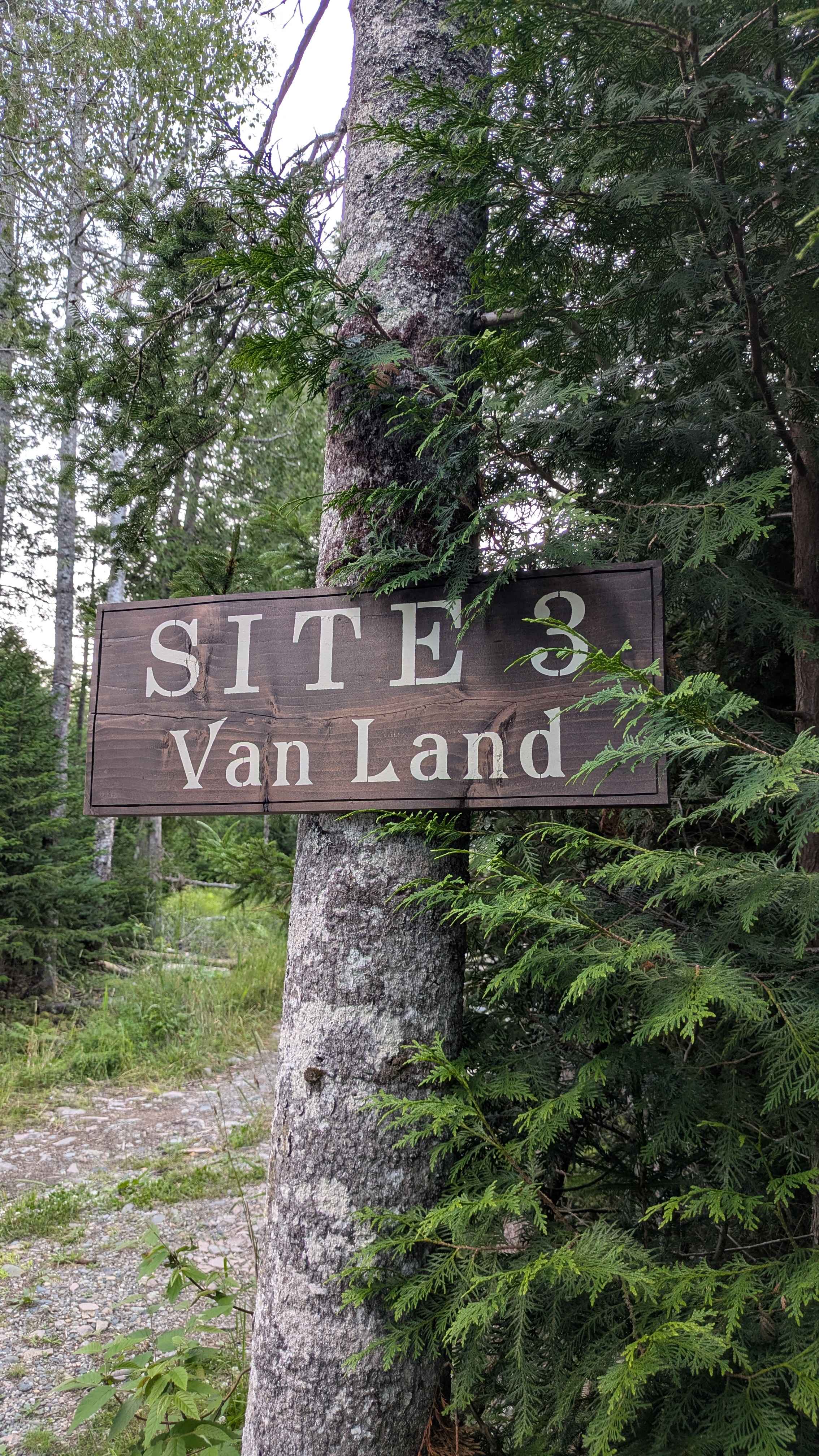 Welcome to Van Land!
