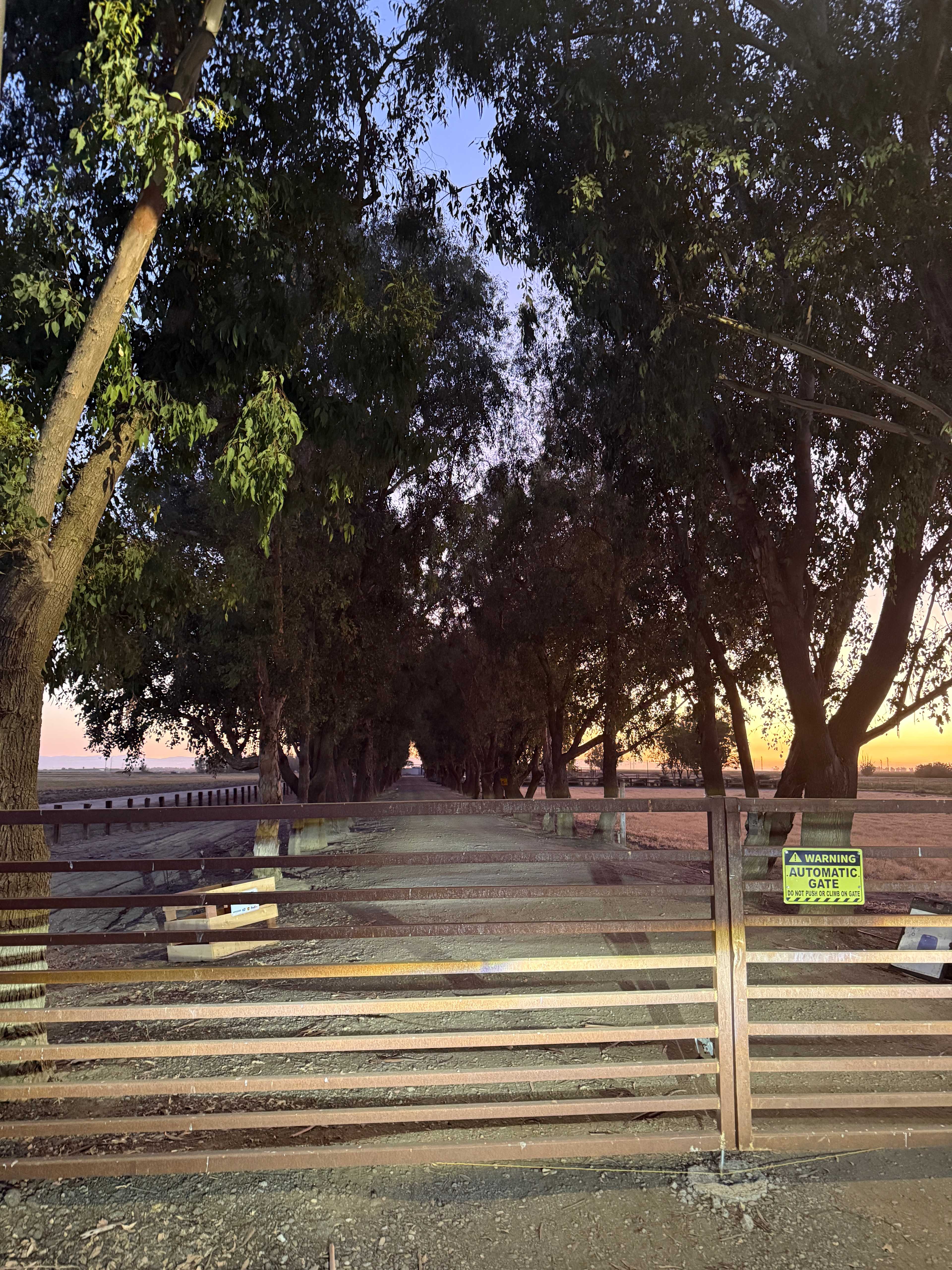 Bakersfield Farm Animals & Pond