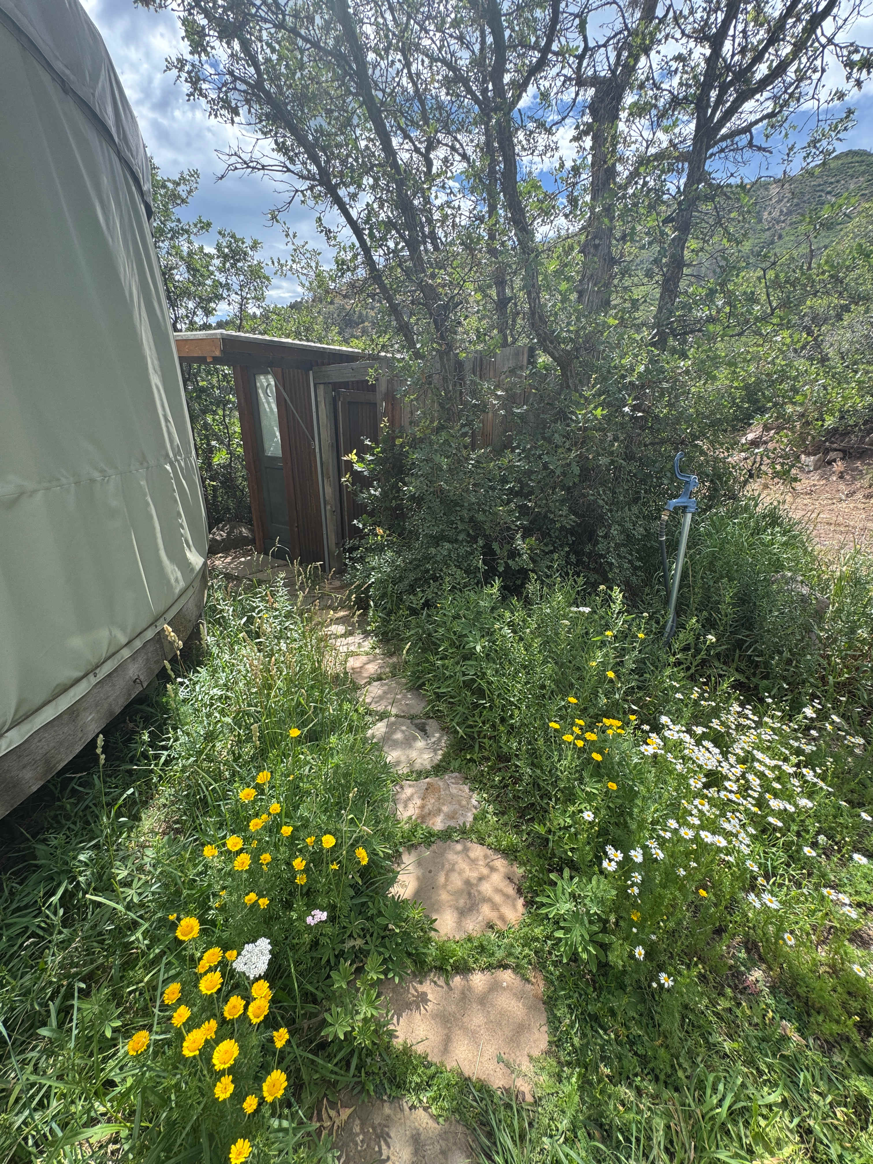 Juniper Yurt
