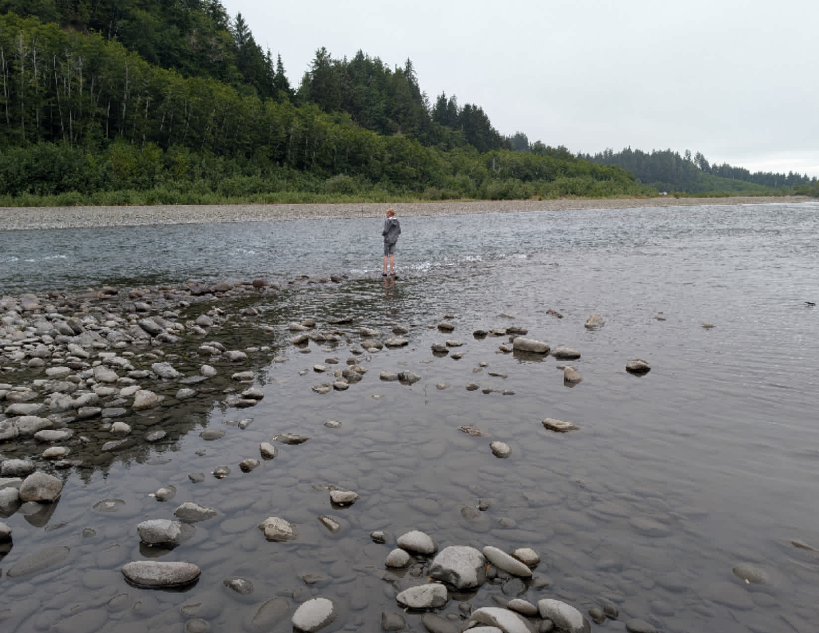 Hoh River Campsites
