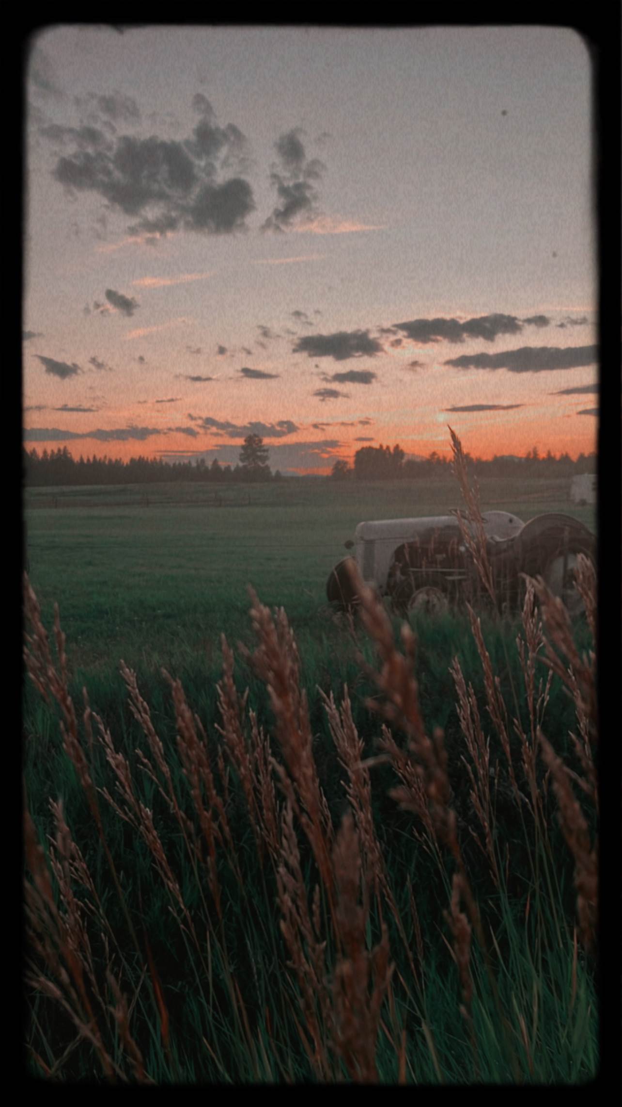 Mountain View Farmstead