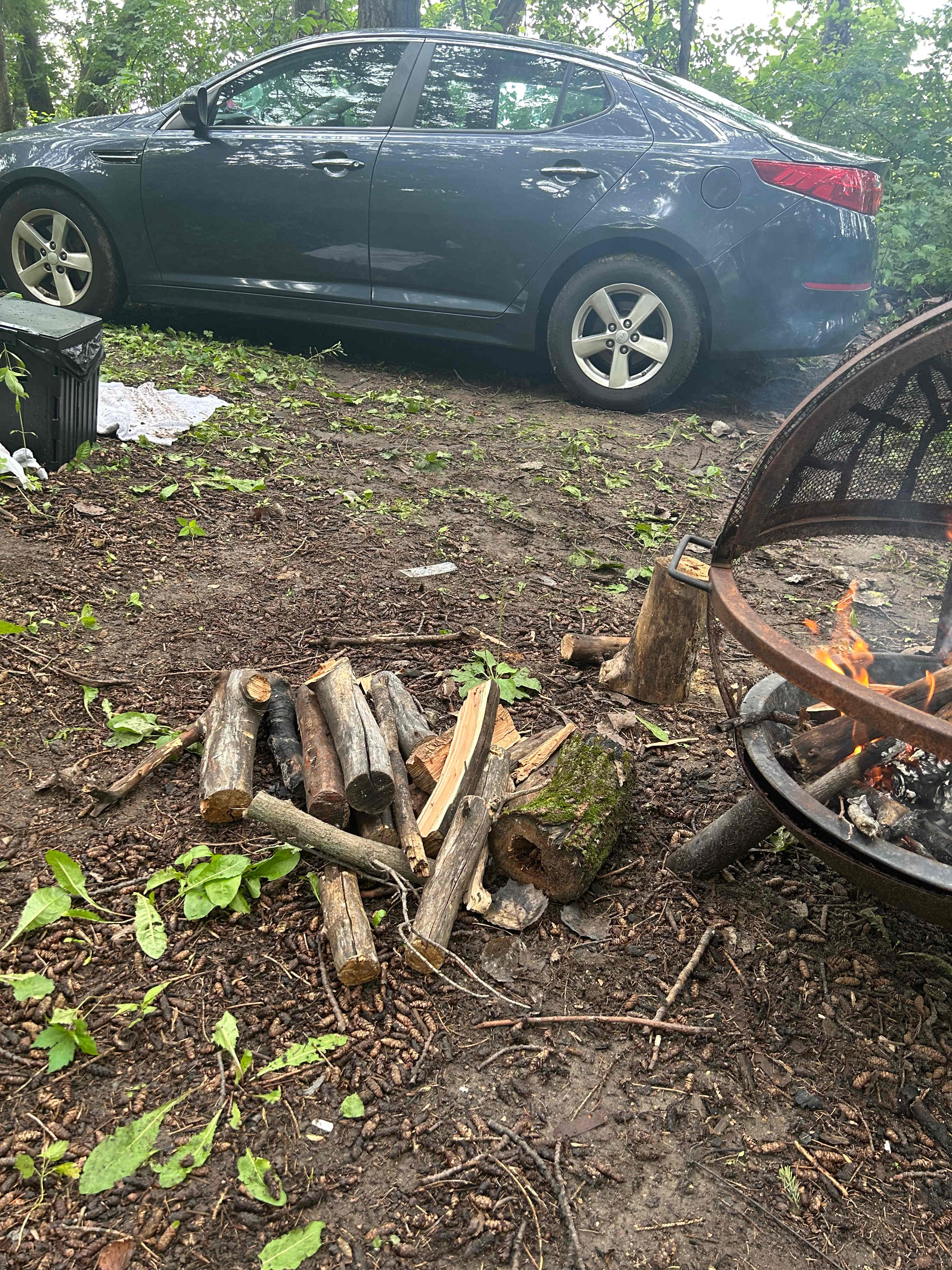 Jeremy taught me how to chop wood for my fire