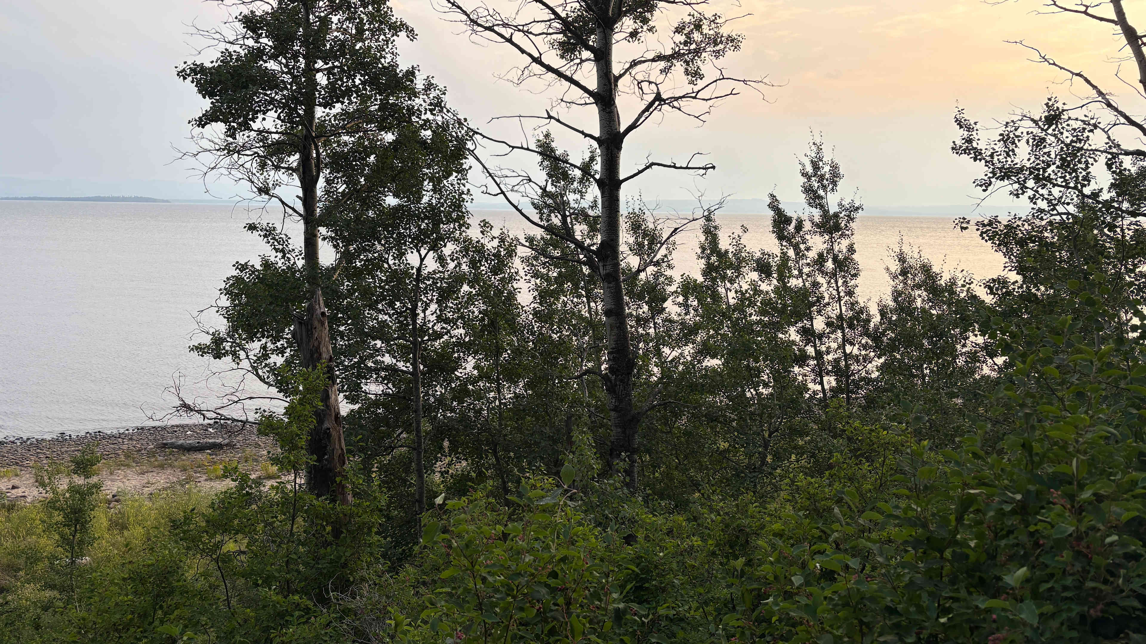 Homegrown Campground & Cabins