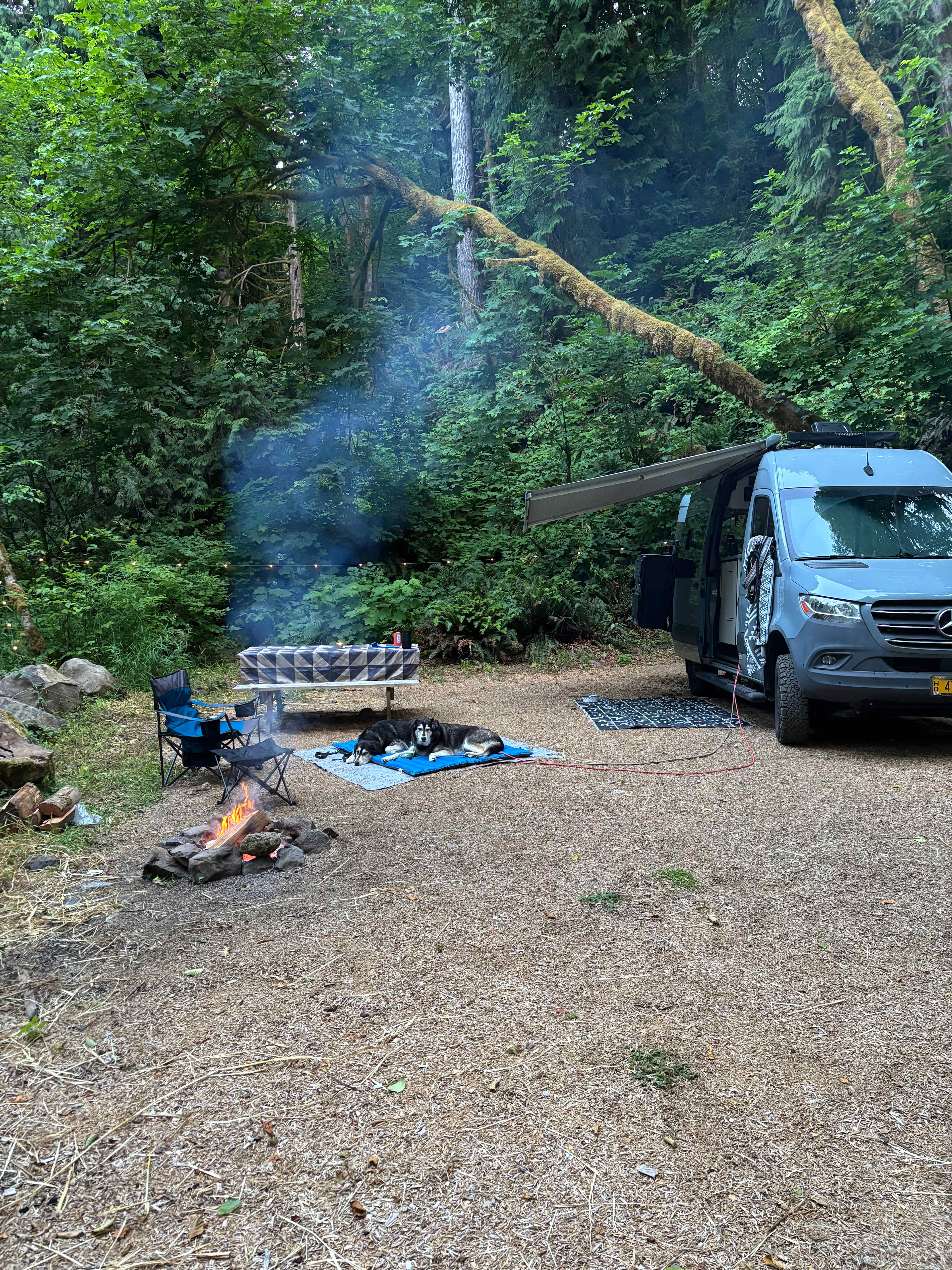 Favorite Creek Campground