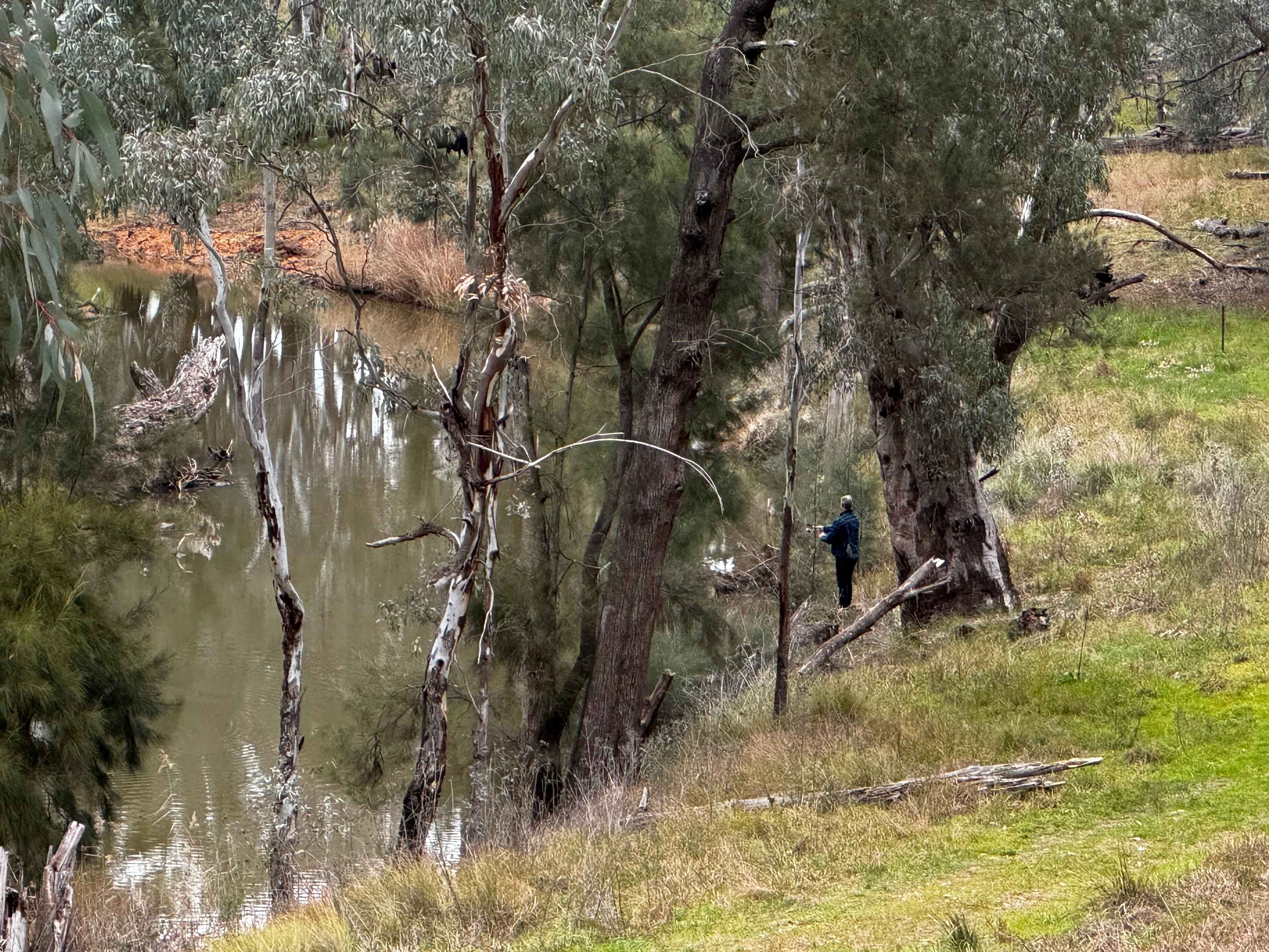 Cadagi Farm Stay in Central West NSW