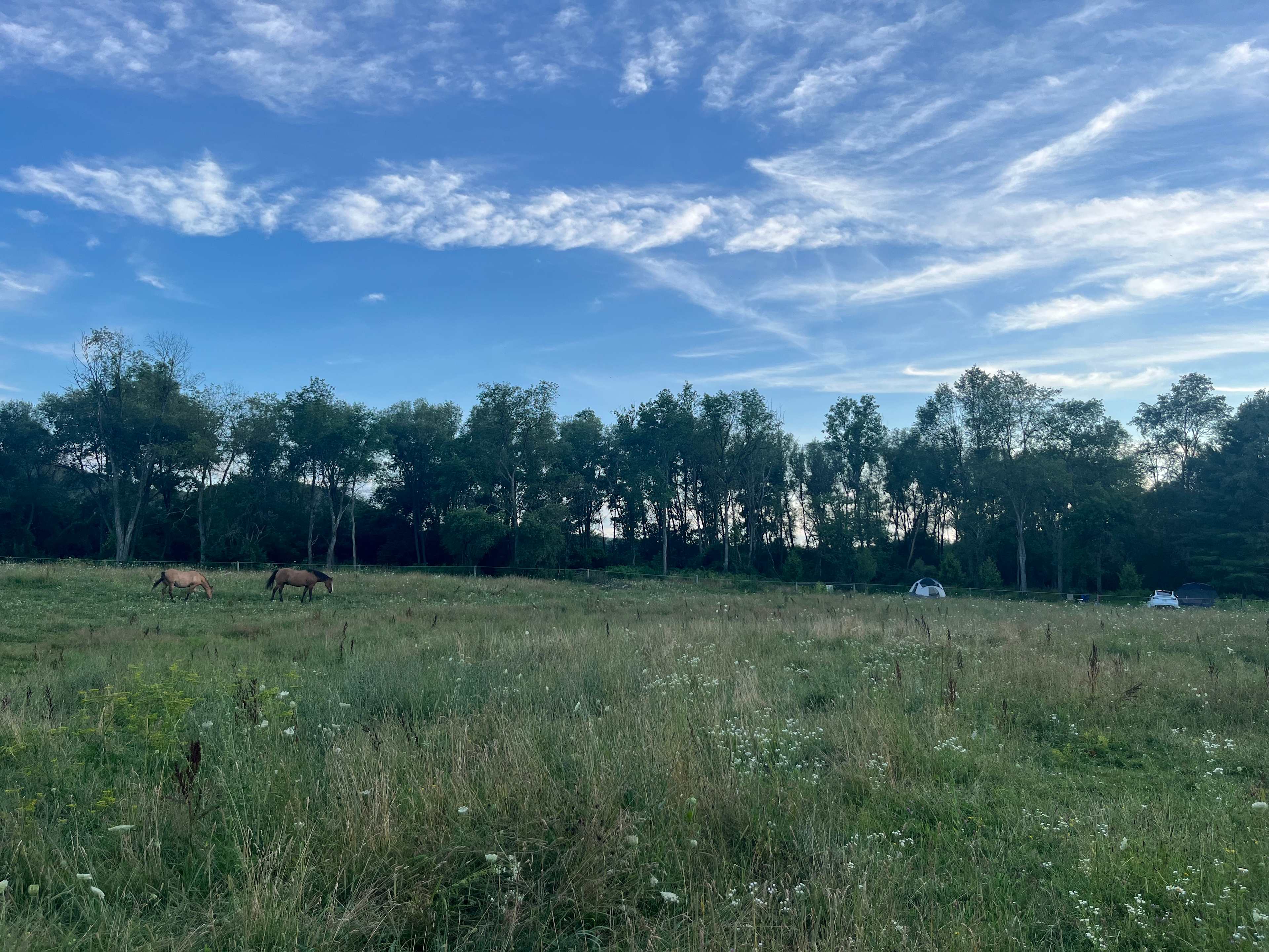 Tempest Ranch camp