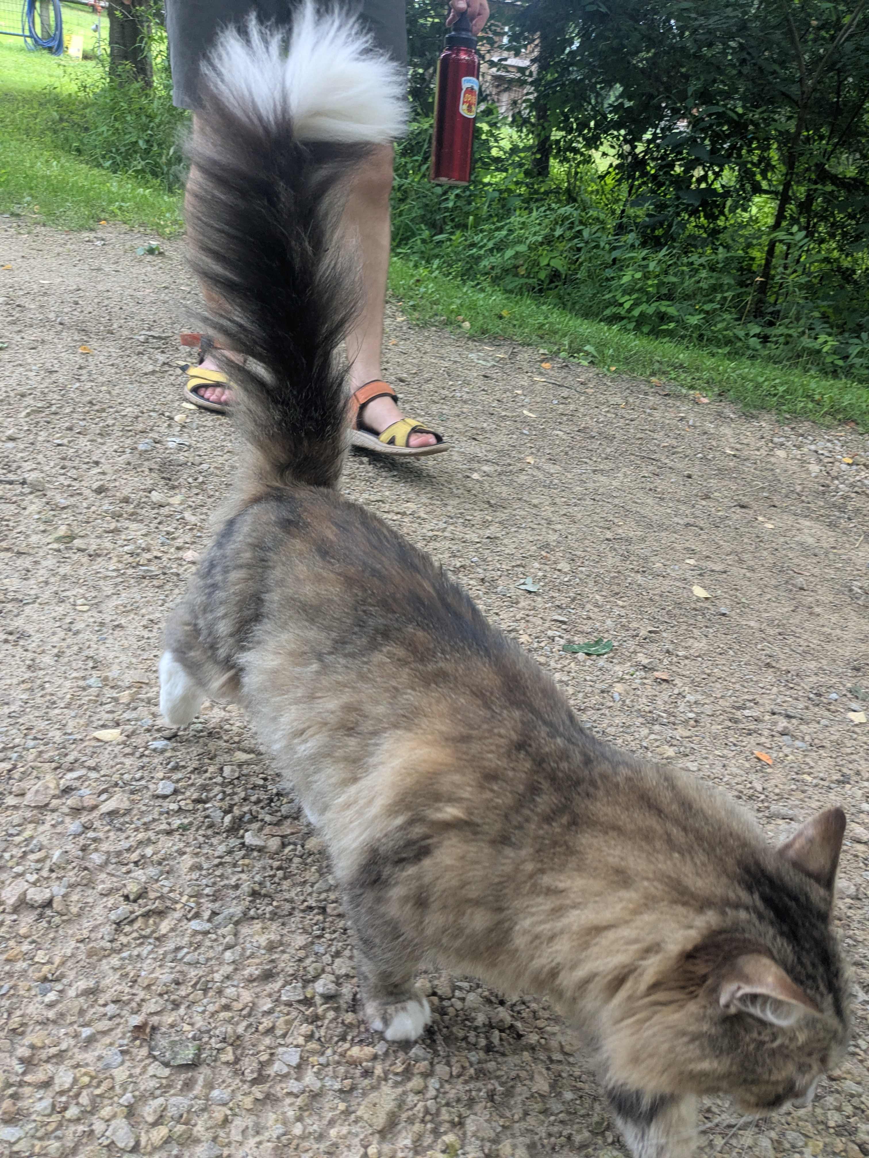 An important member of the welcoming committee! Just don't touch the belly 😊