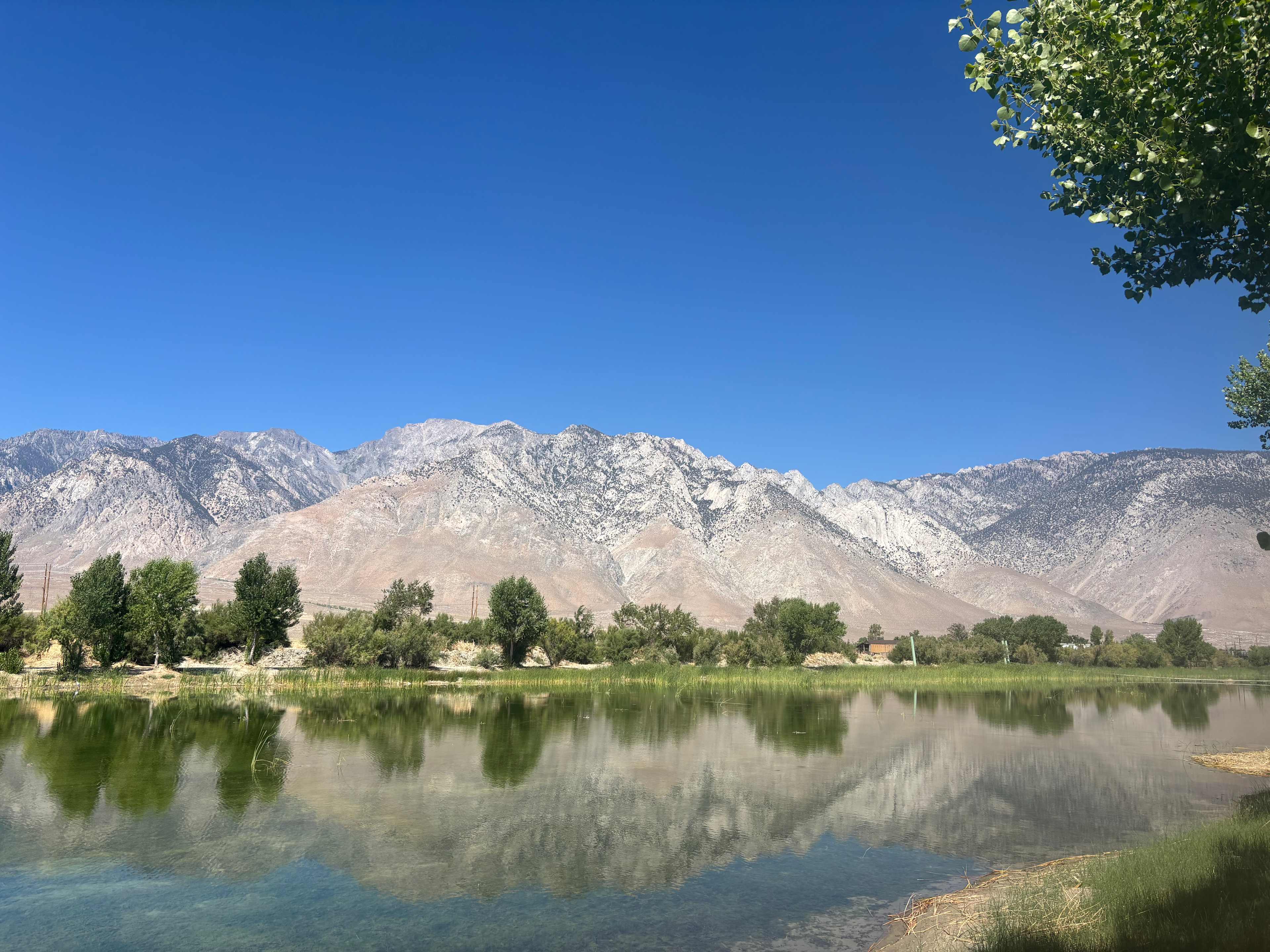 Lake Olancha RV Park and Campground