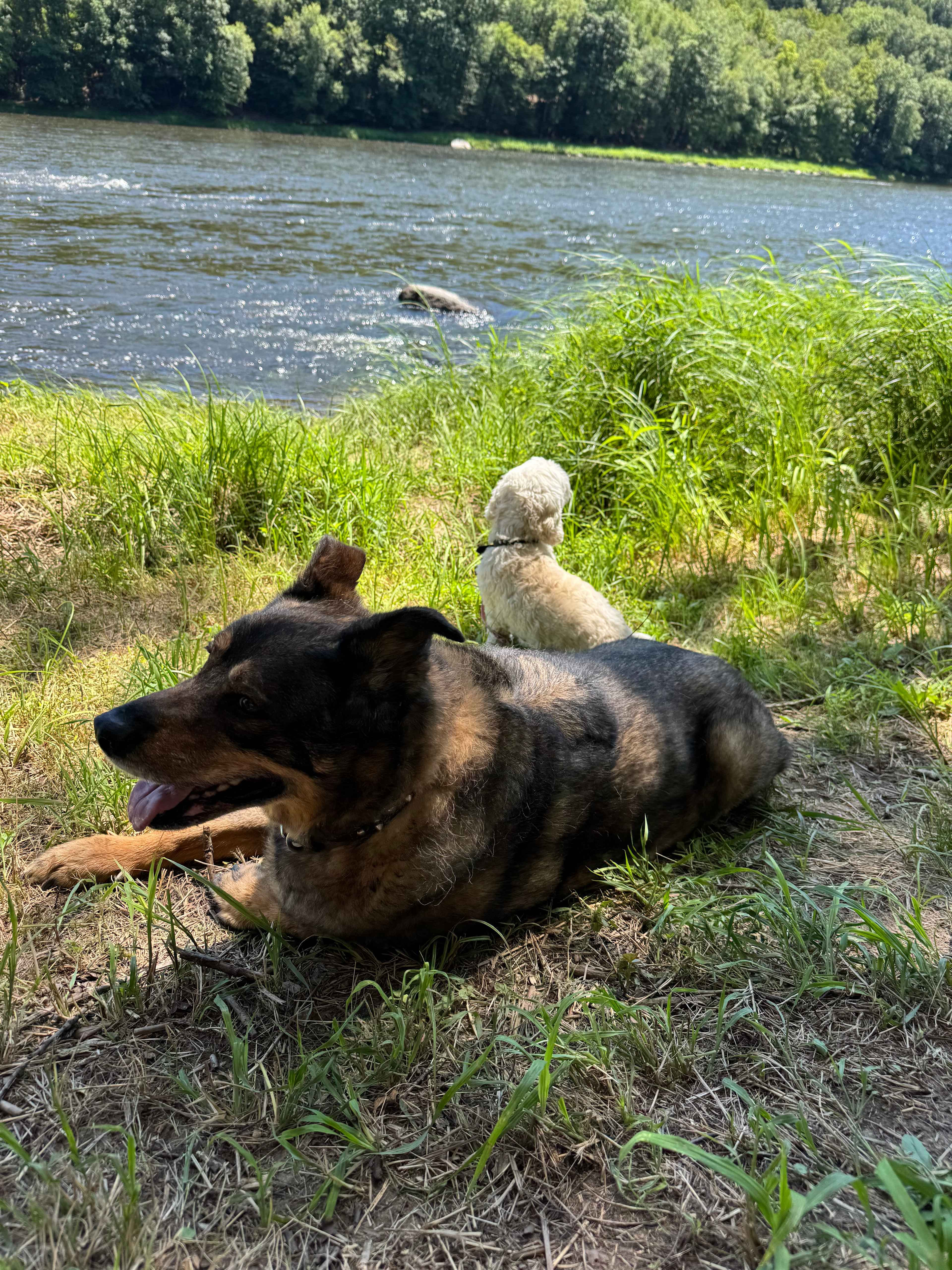 The River's Edge