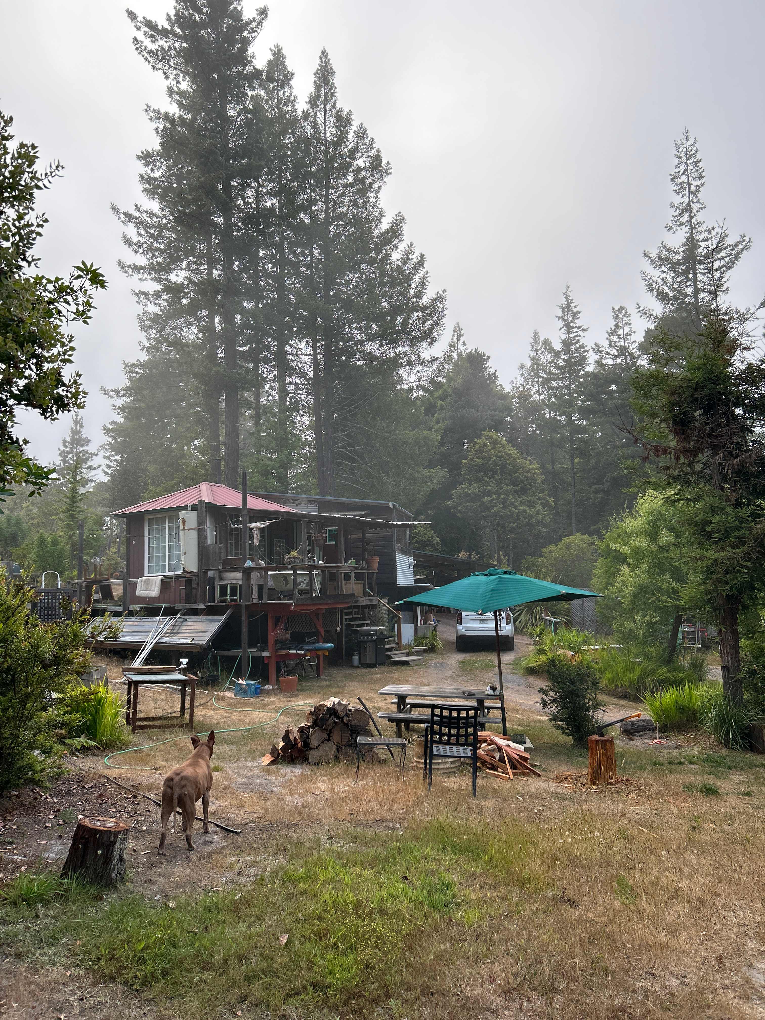 Coastal Ridge Cabin
