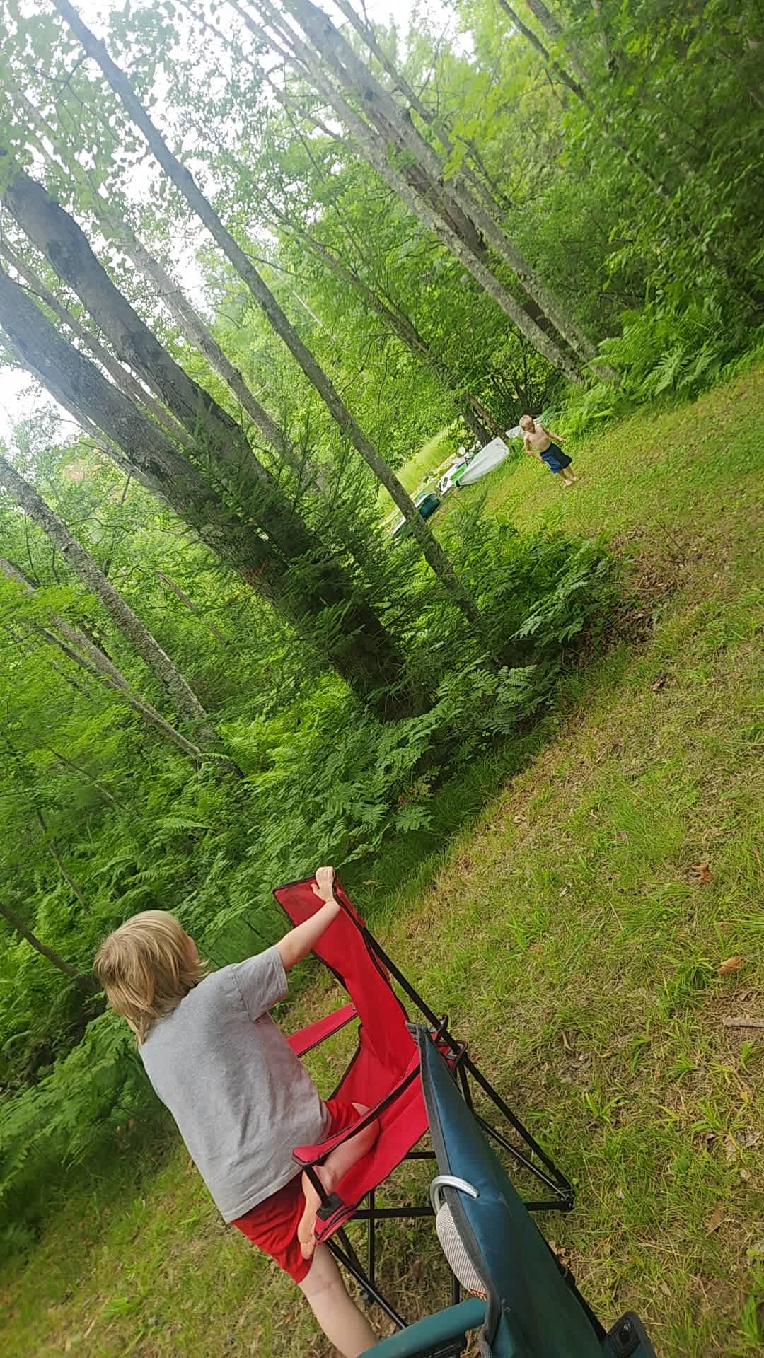 Whispering Woods