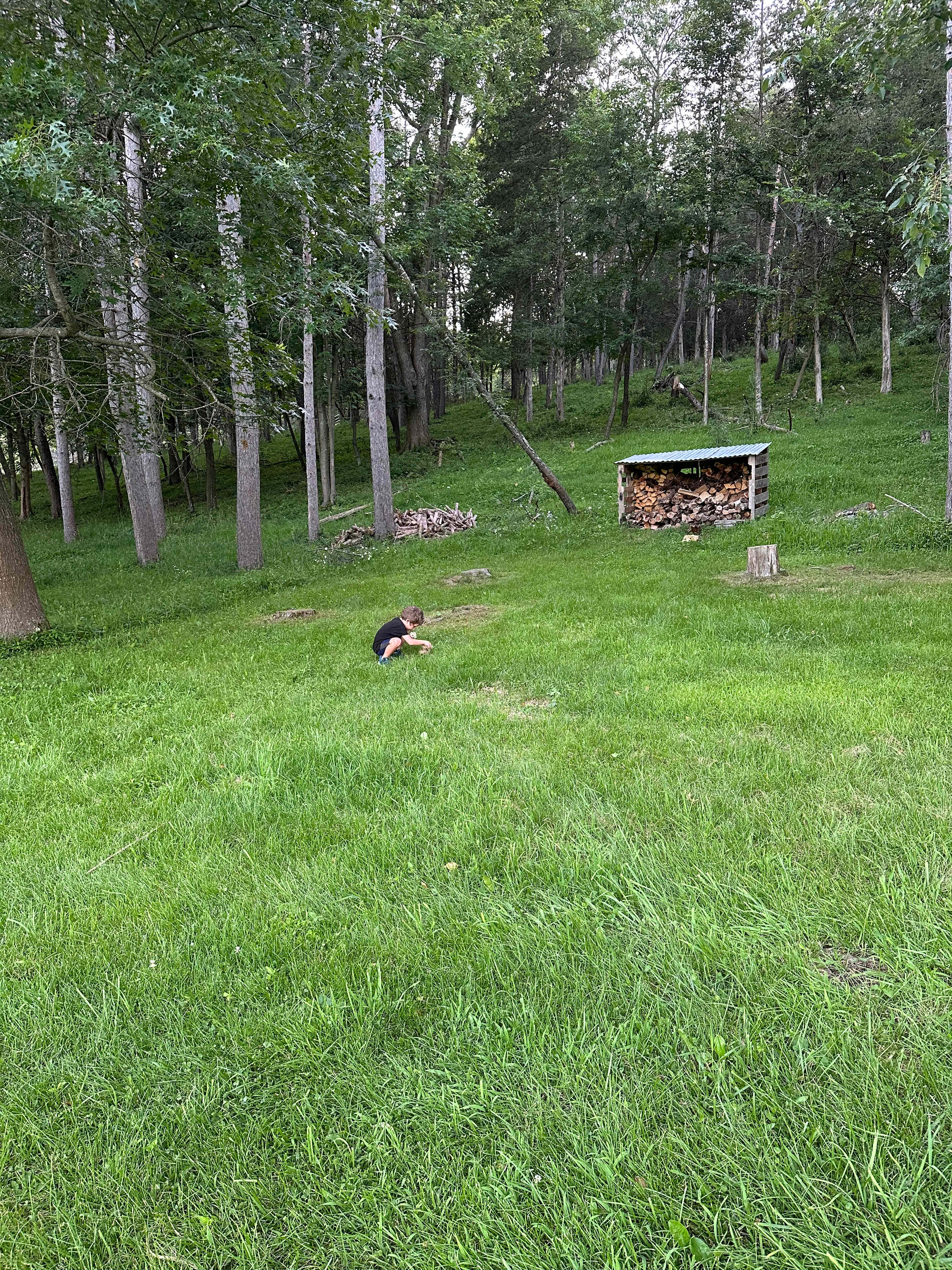 Shady Rest Acres