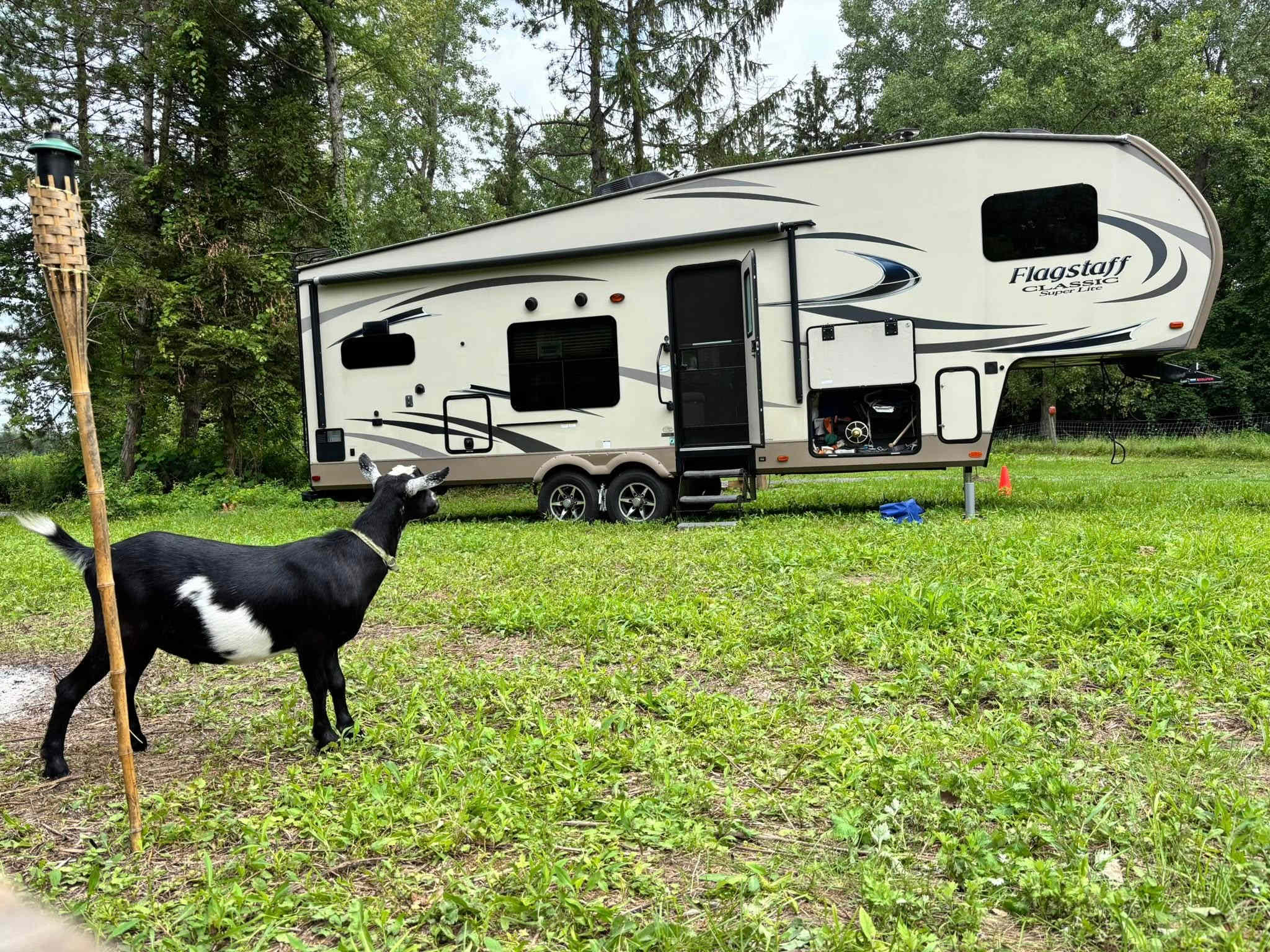 Crazy Goats Farm Camp