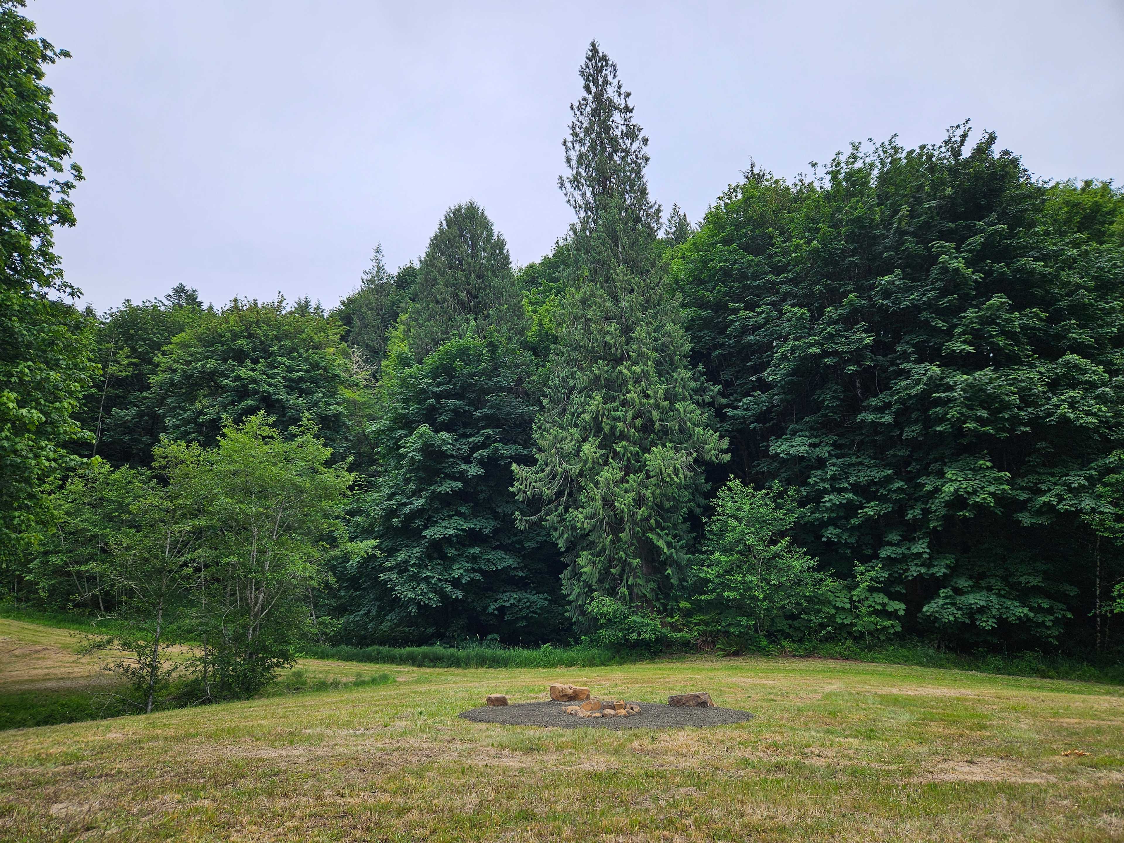 Healtop Forest Haven camp