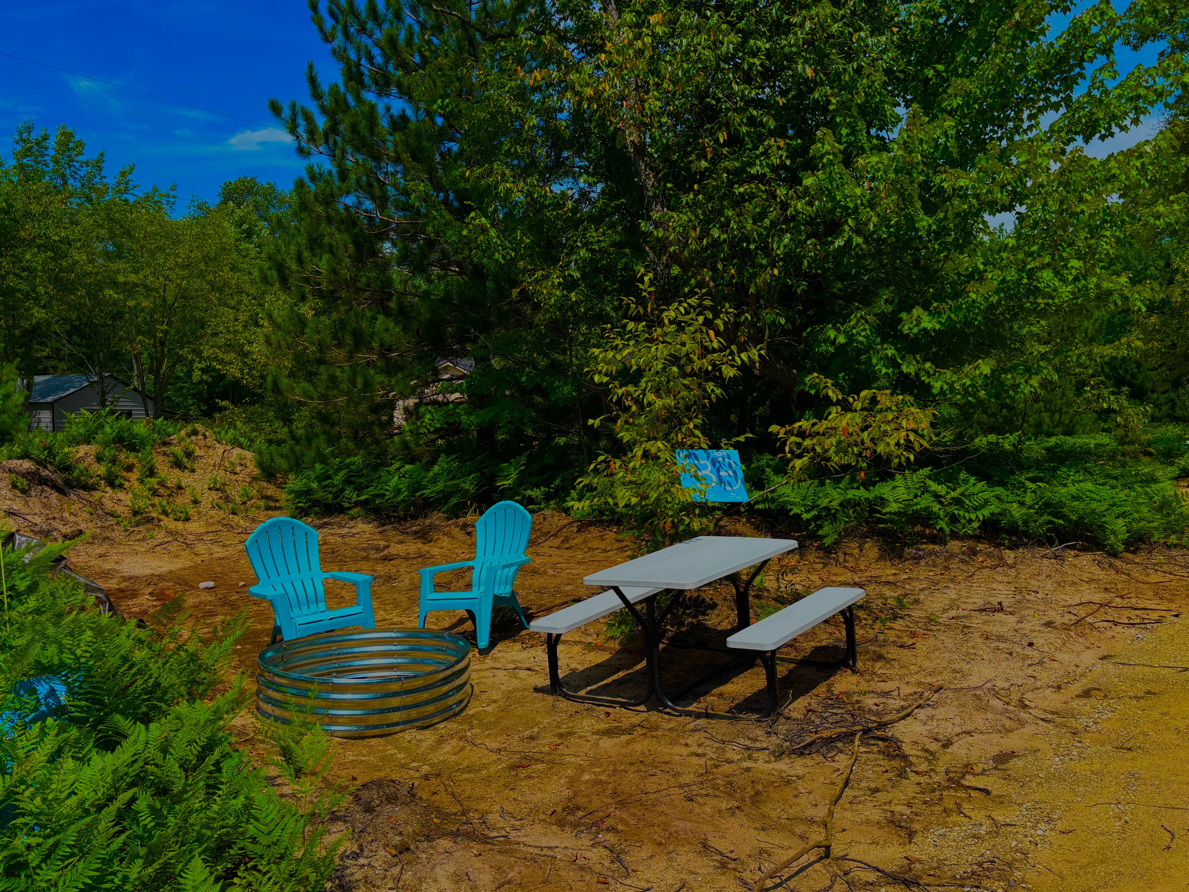 Picture of the site