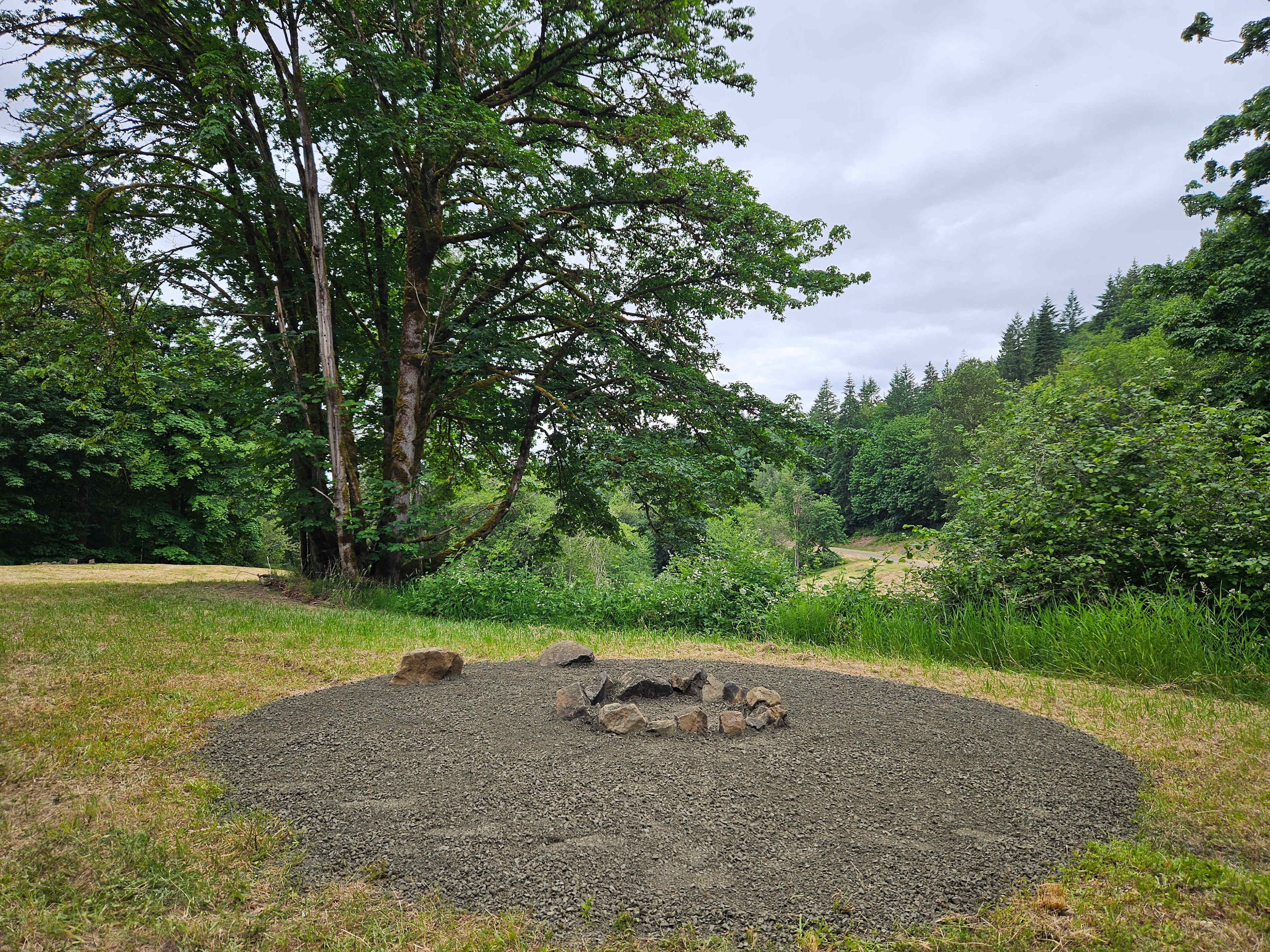 Healtop Forest Haven camp